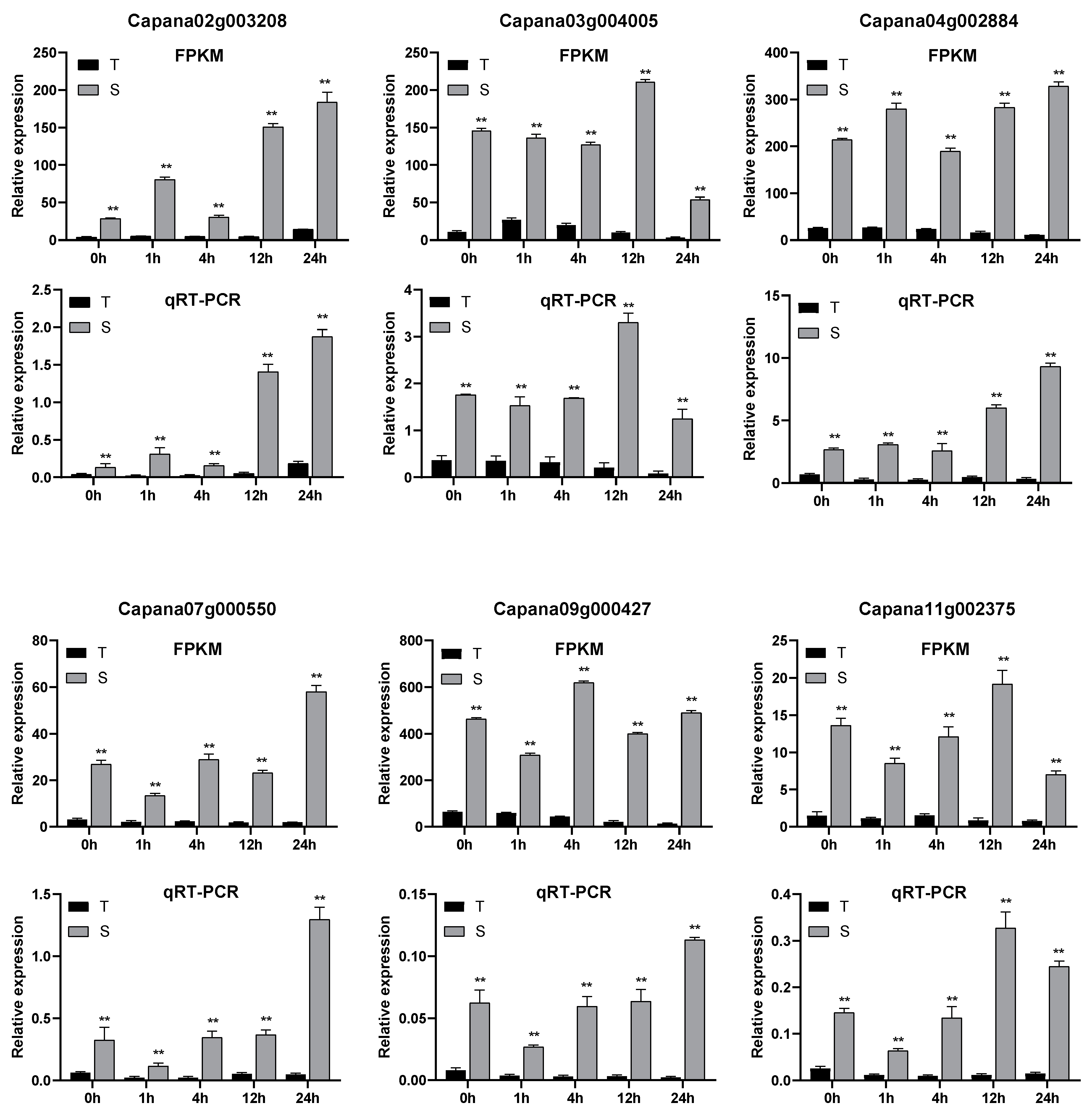 Agronomy 13 01347 g005 Agronomy 13 01347 g005
