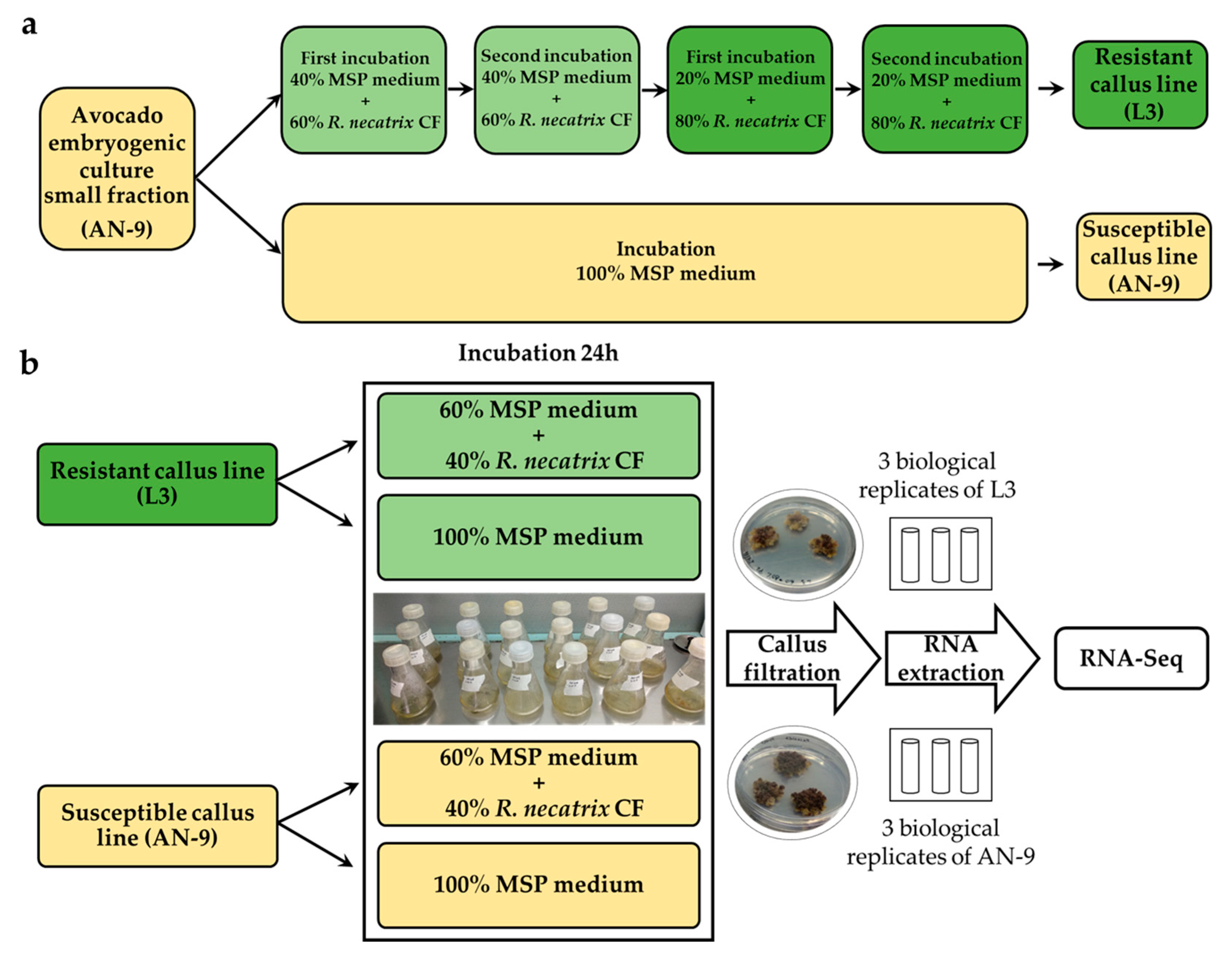 Agronomy 13 01354 g001 Agronomy 13 01354 g001