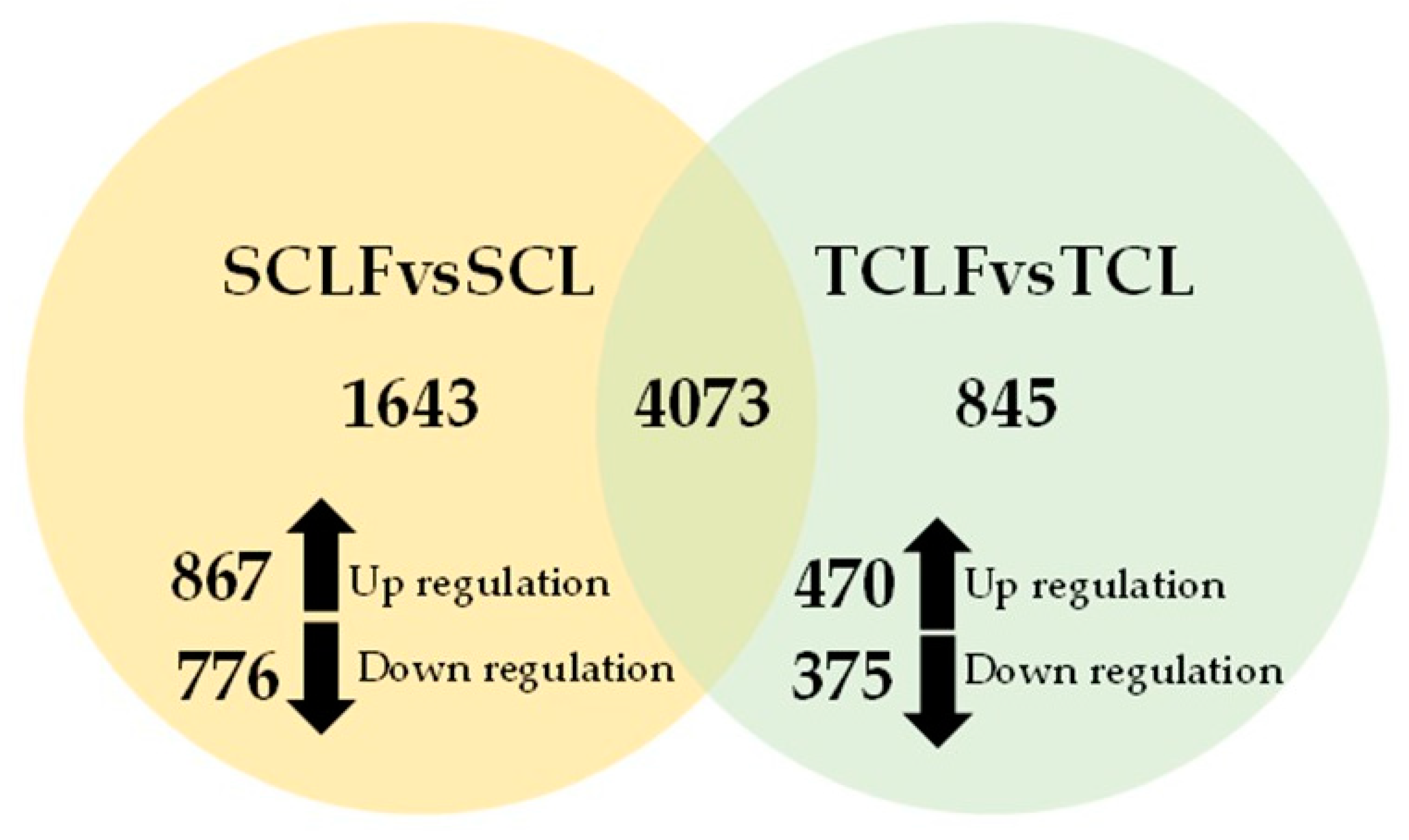 Agronomy 13 01354 g003 Agronomy 13 01354 g003