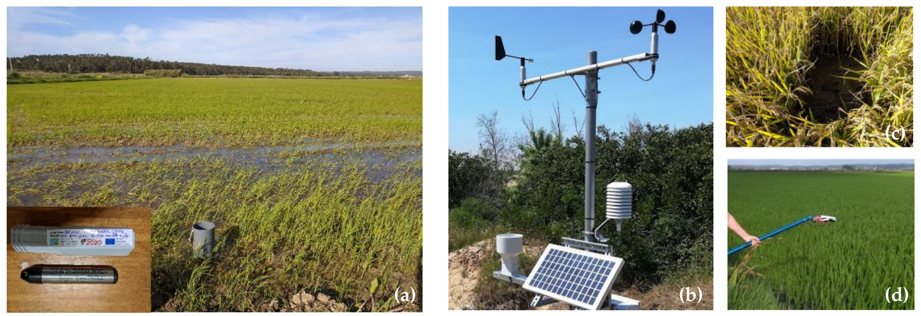 Agronomy 13 01357 g002