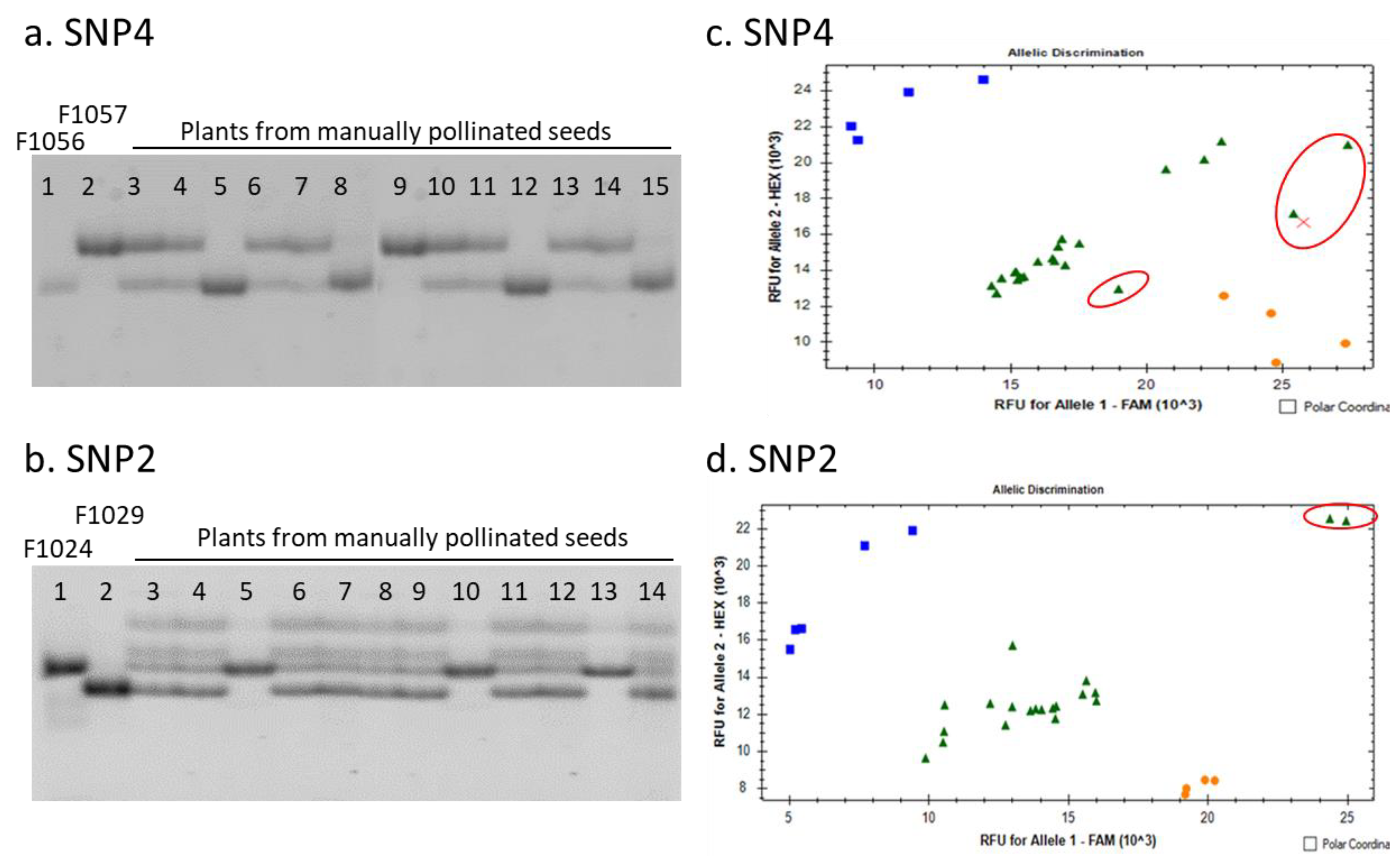 Agronomy 13 01359 g002 Agronomy 13 01359 g002