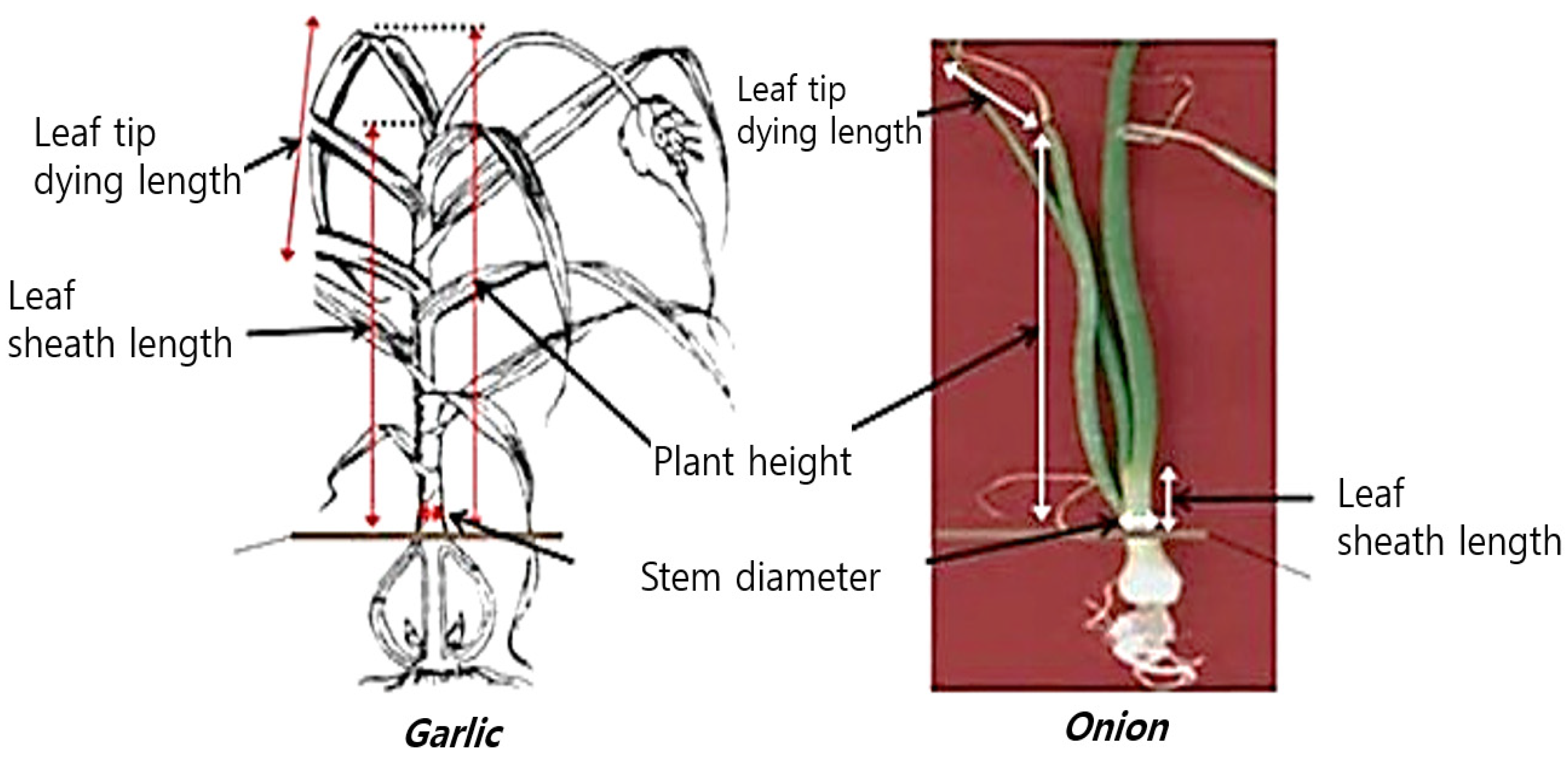 Agronomy 13 01362 g003 550