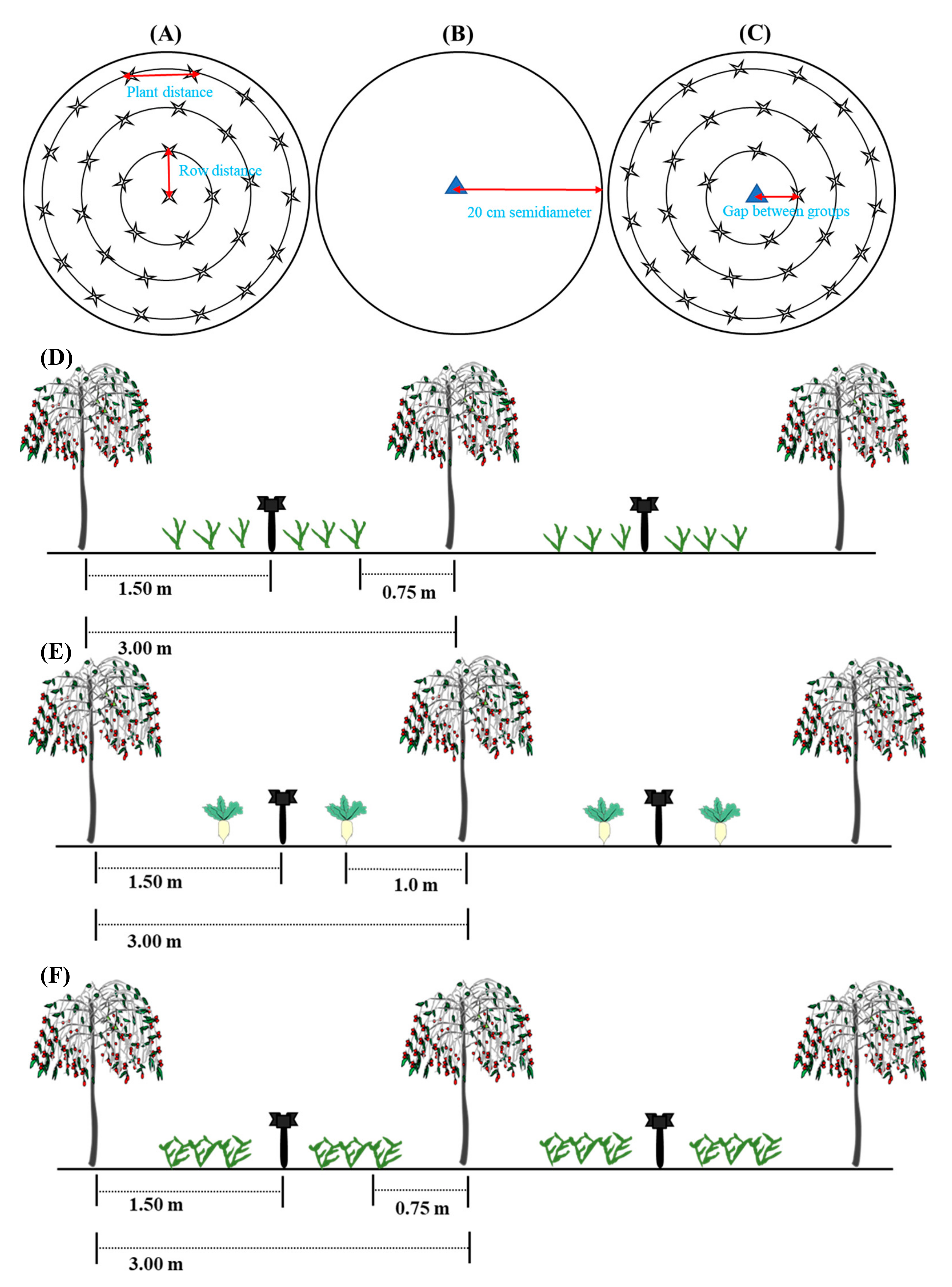Agronomy 13 01365 g002 Agronomy 13 01365 g002