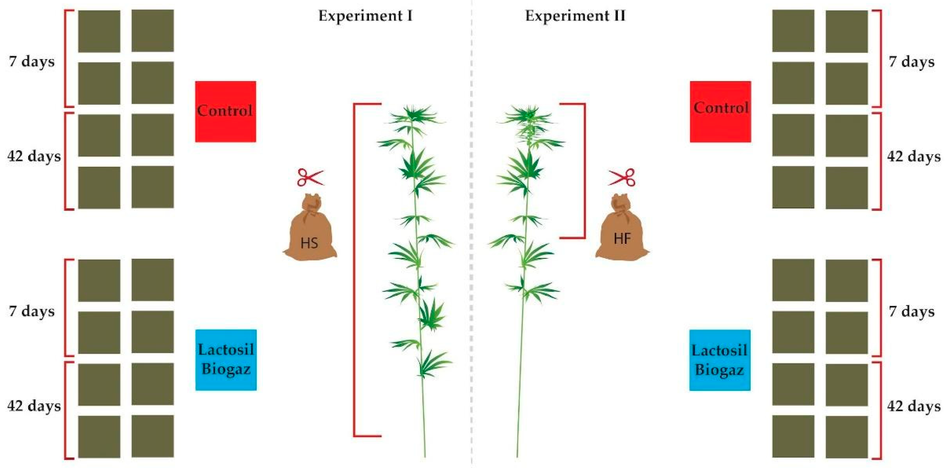 Agronomy 13 01371 g001