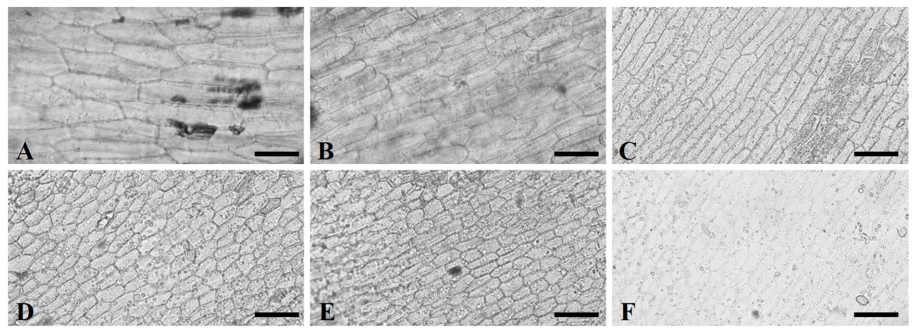 Agronomy 13 01372 g002 Agronomy 13 01372 g002
