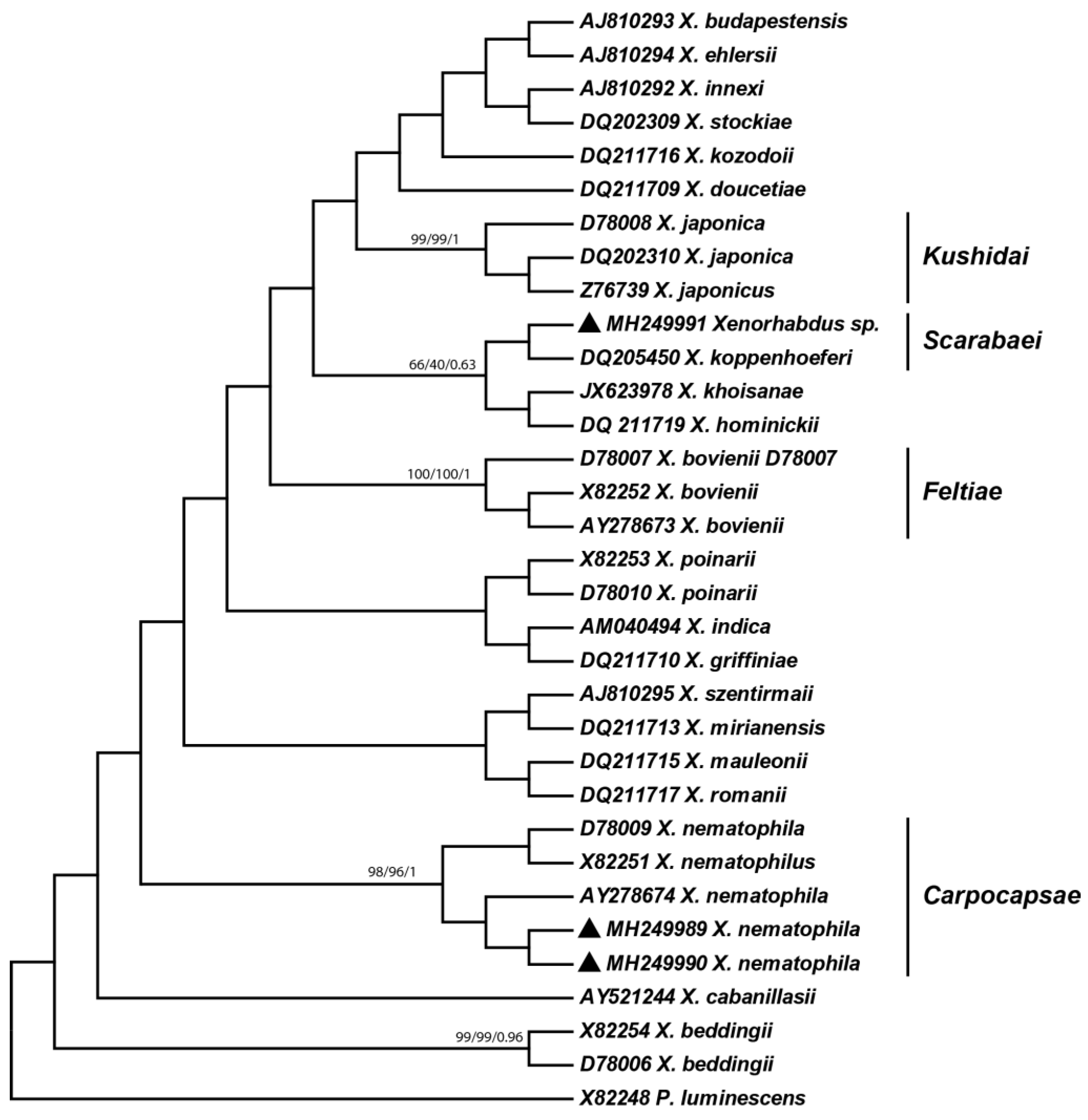 Agronomy 13 01373 g008 Agronomy 13 01373 g008