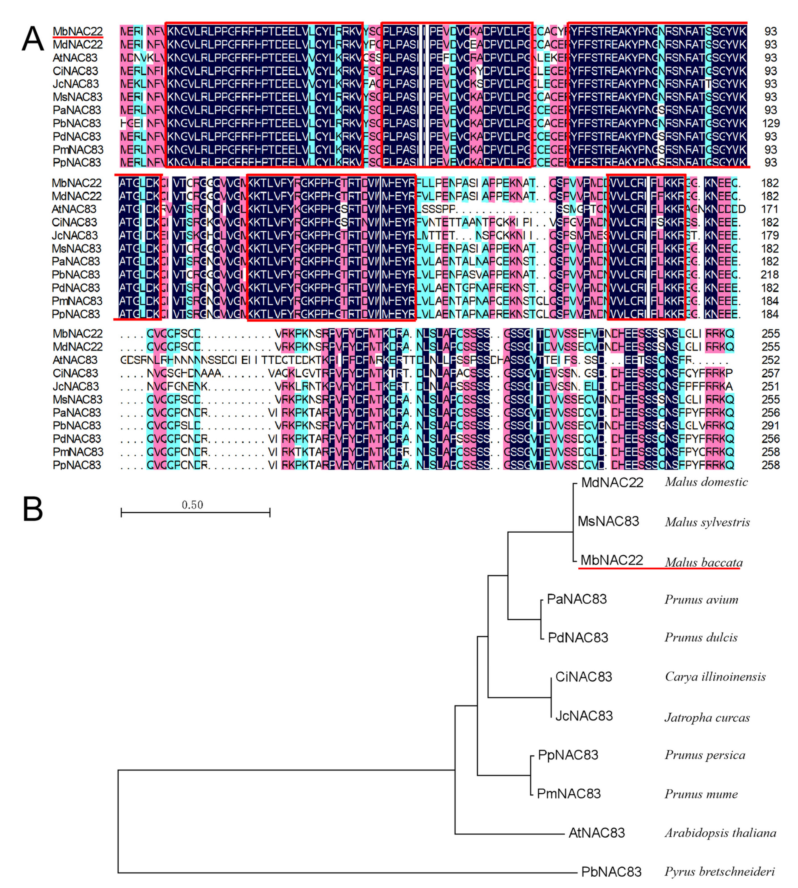 Agronomy 13 01374 g001 Agronomy 13 01374 g001