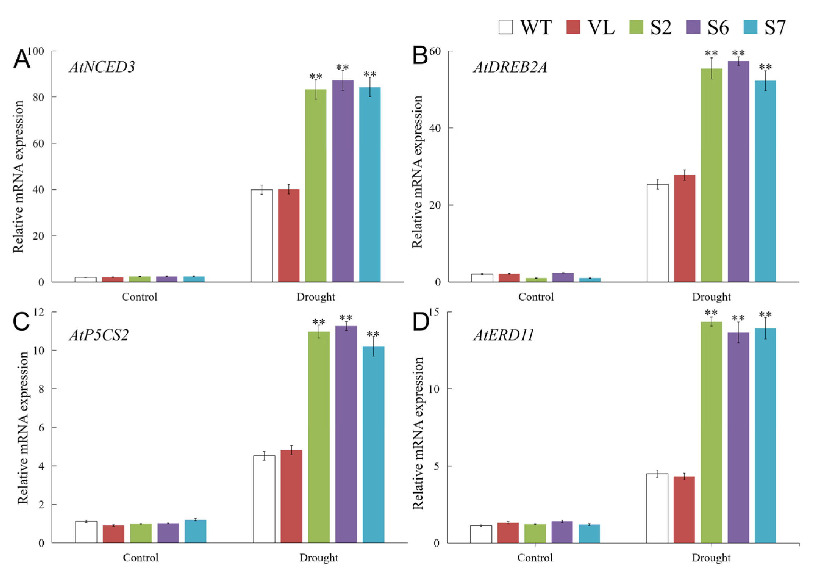 Agronomy 13 01374 g006 Agronomy 13 01374 g006