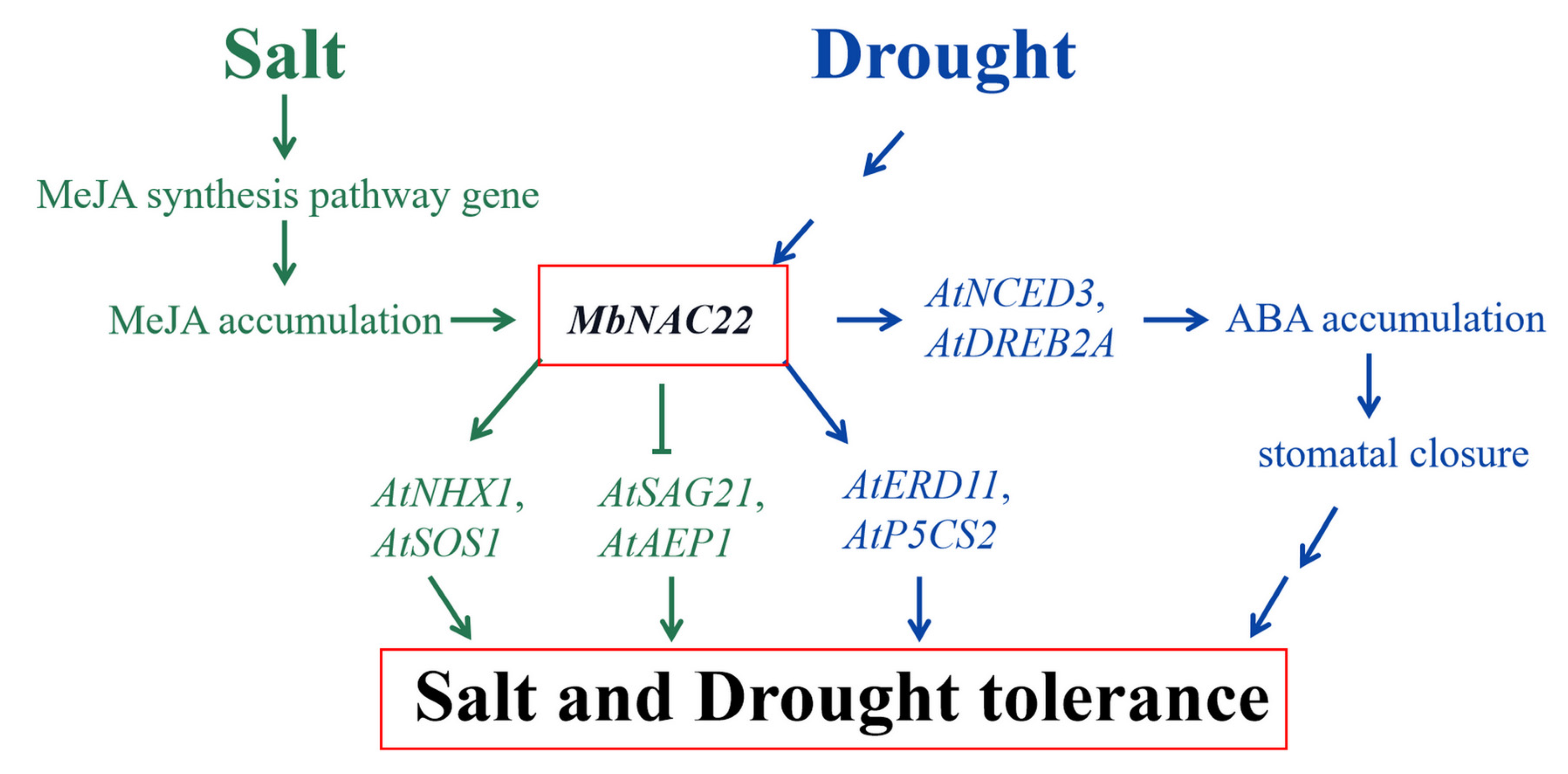 Agronomy 13 01374 g010 Agronomy 13 01374 g010