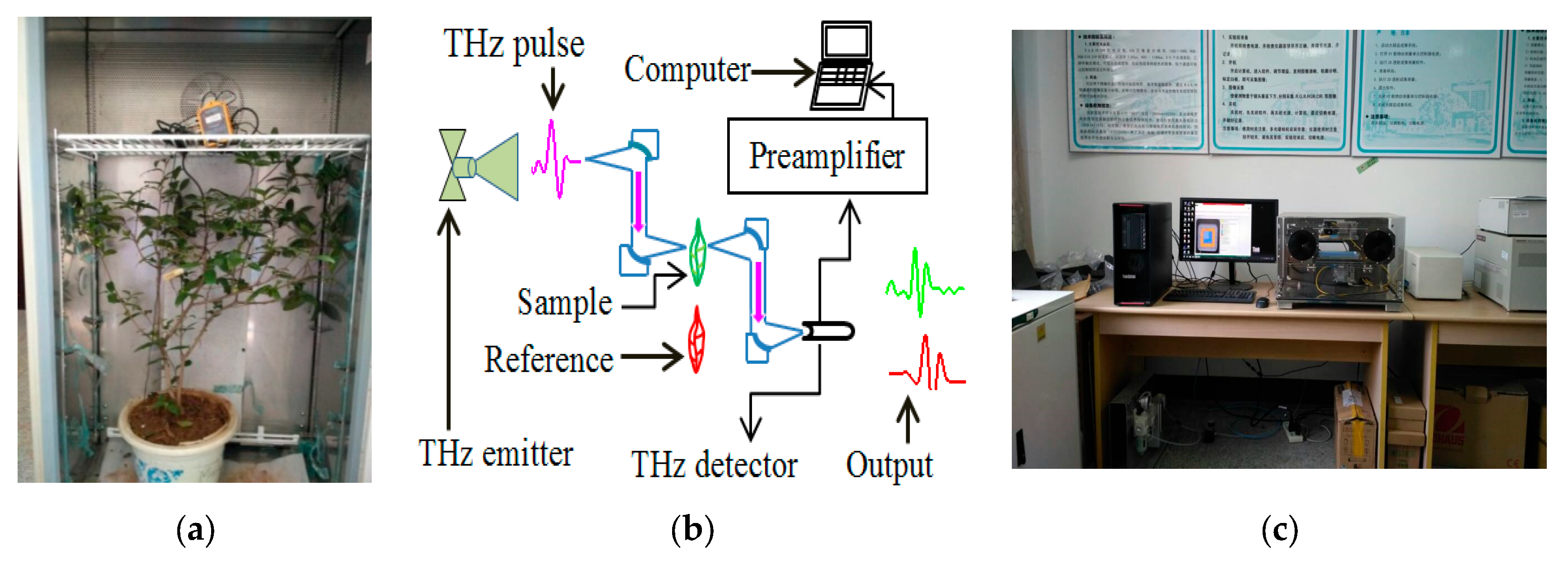 Agronomy 13 01376 g001