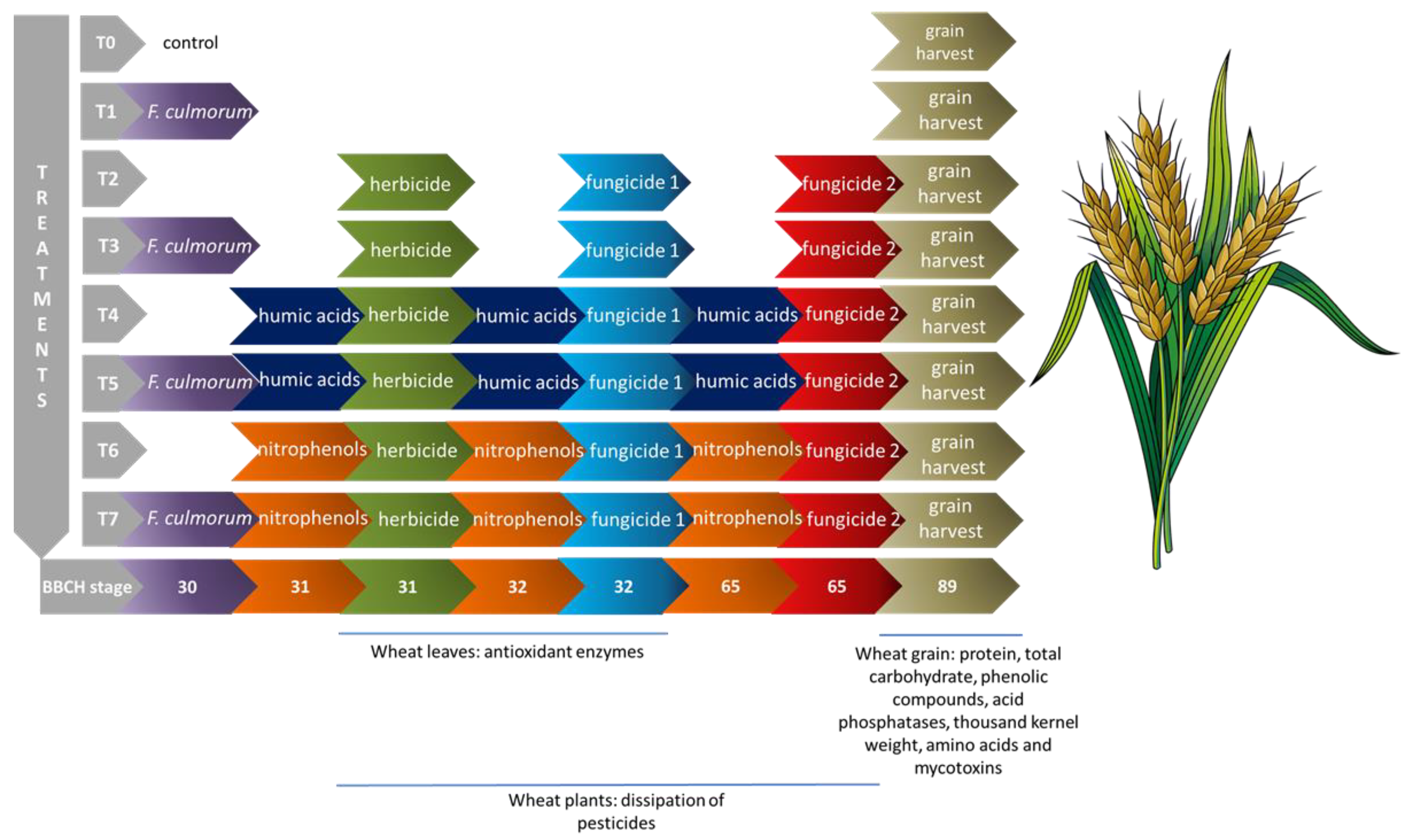 Agronomy 13 01378 g001