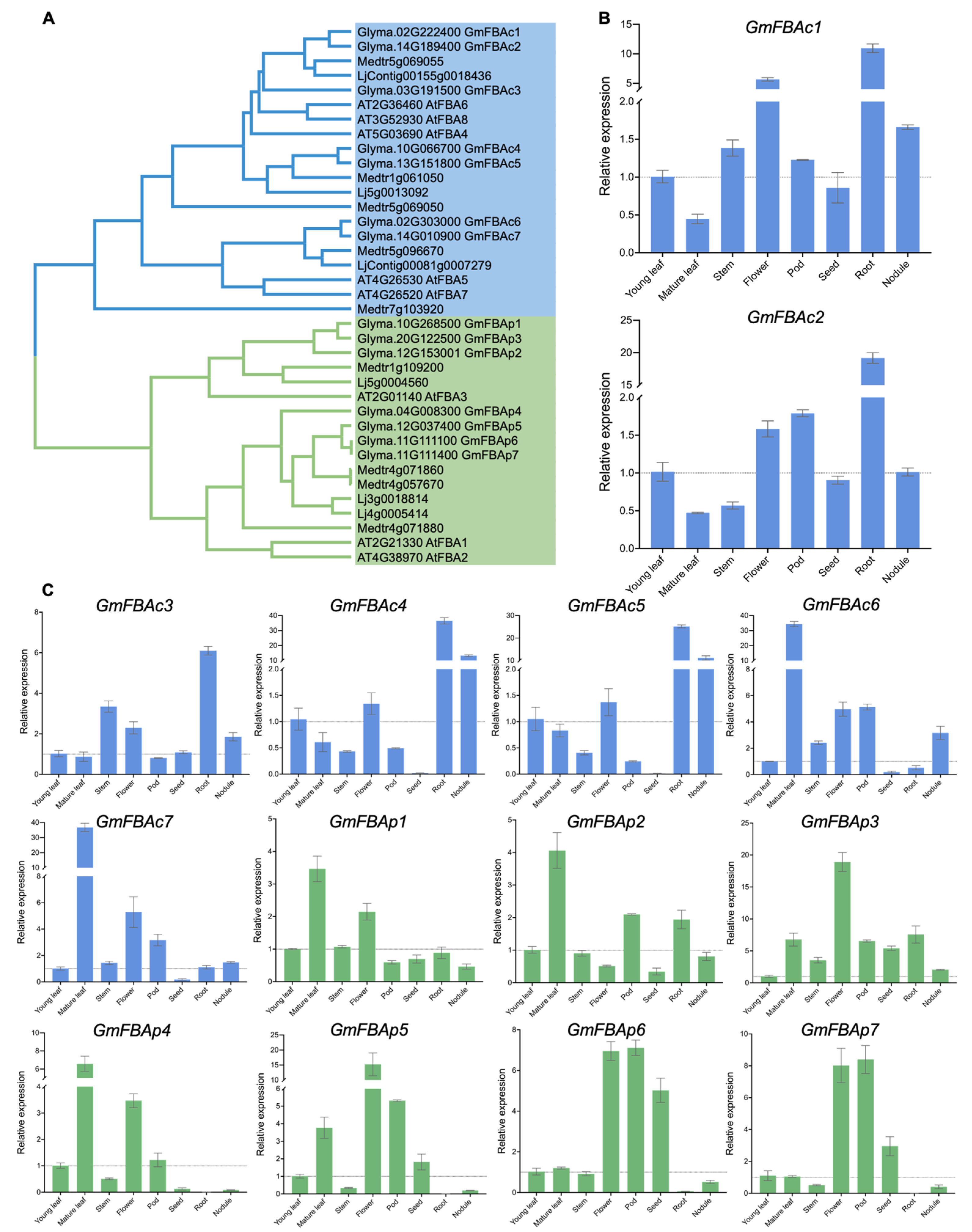 Agronomy 13 01383 g001 Agronomy 13 01383 g001