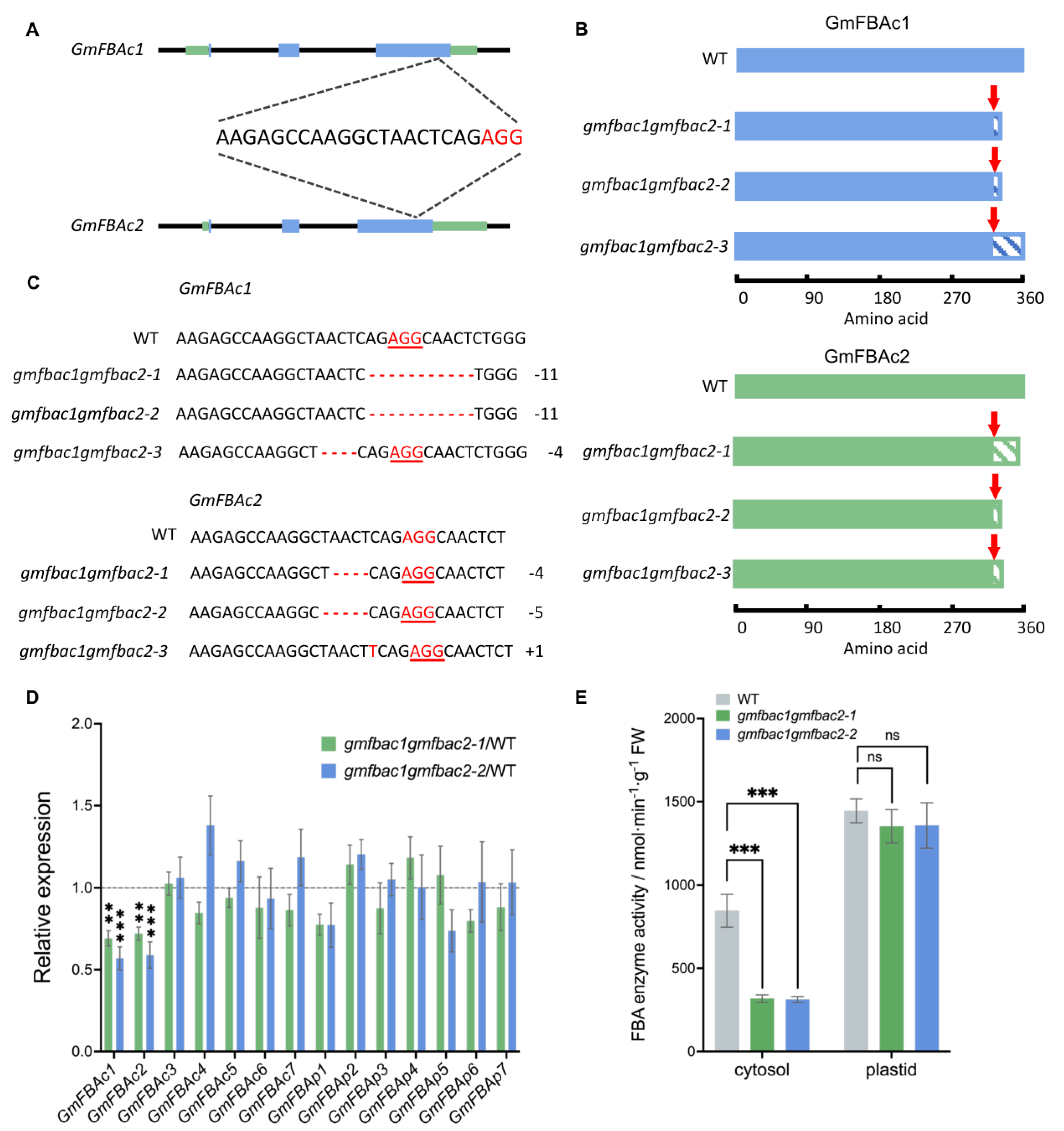 Agronomy 13 01383 g002 Agronomy 13 01383 g002