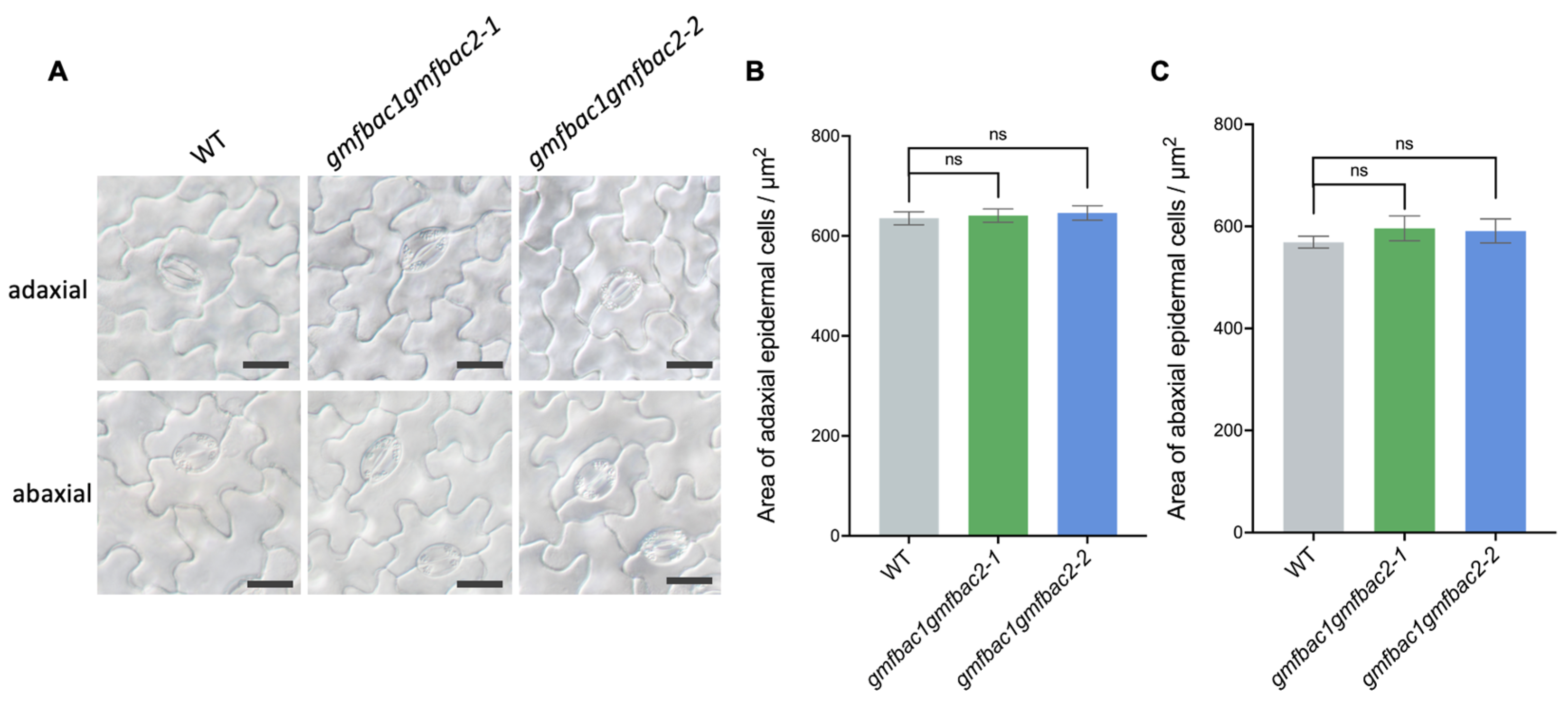Agronomy 13 01383 g004 Agronomy 13 01383 g004