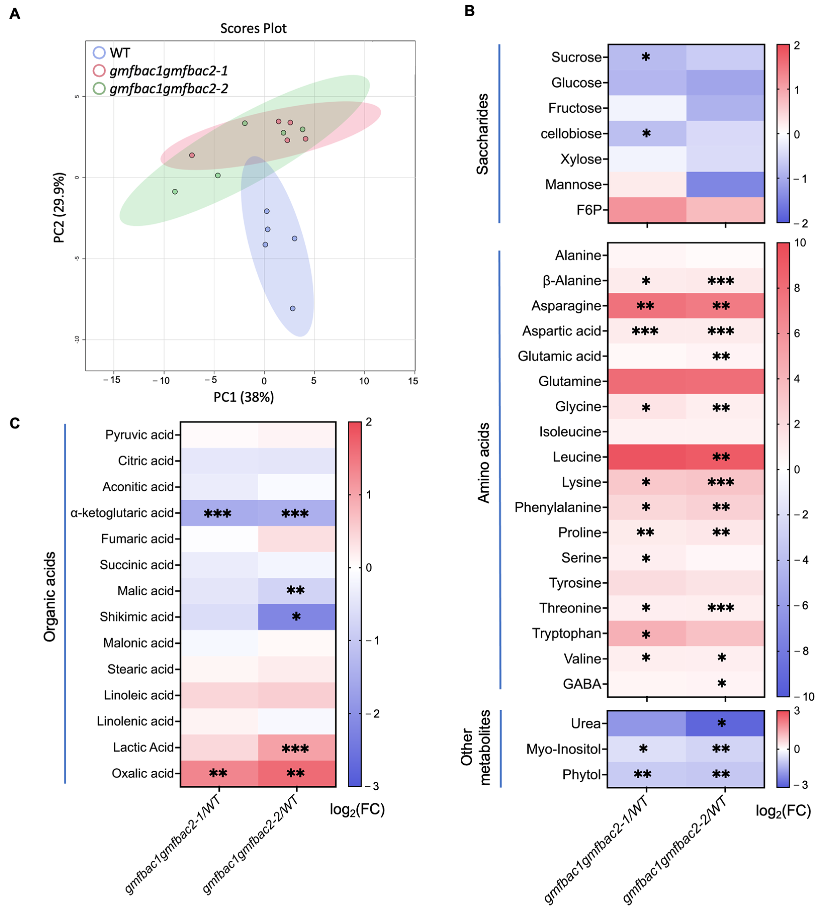 Agronomy 13 01383 g005 Agronomy 13 01383 g005