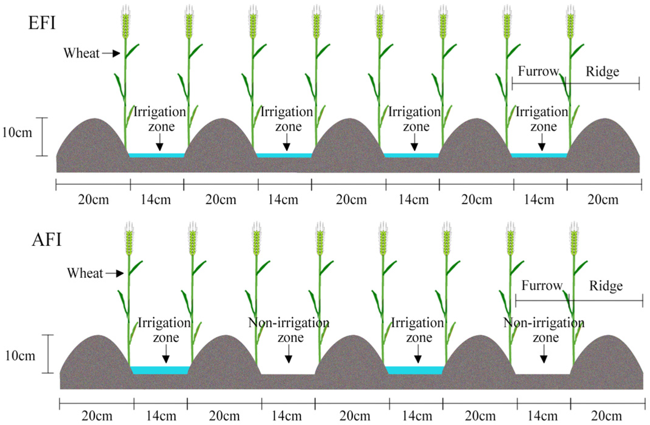 Agronomy 13 01390 g002