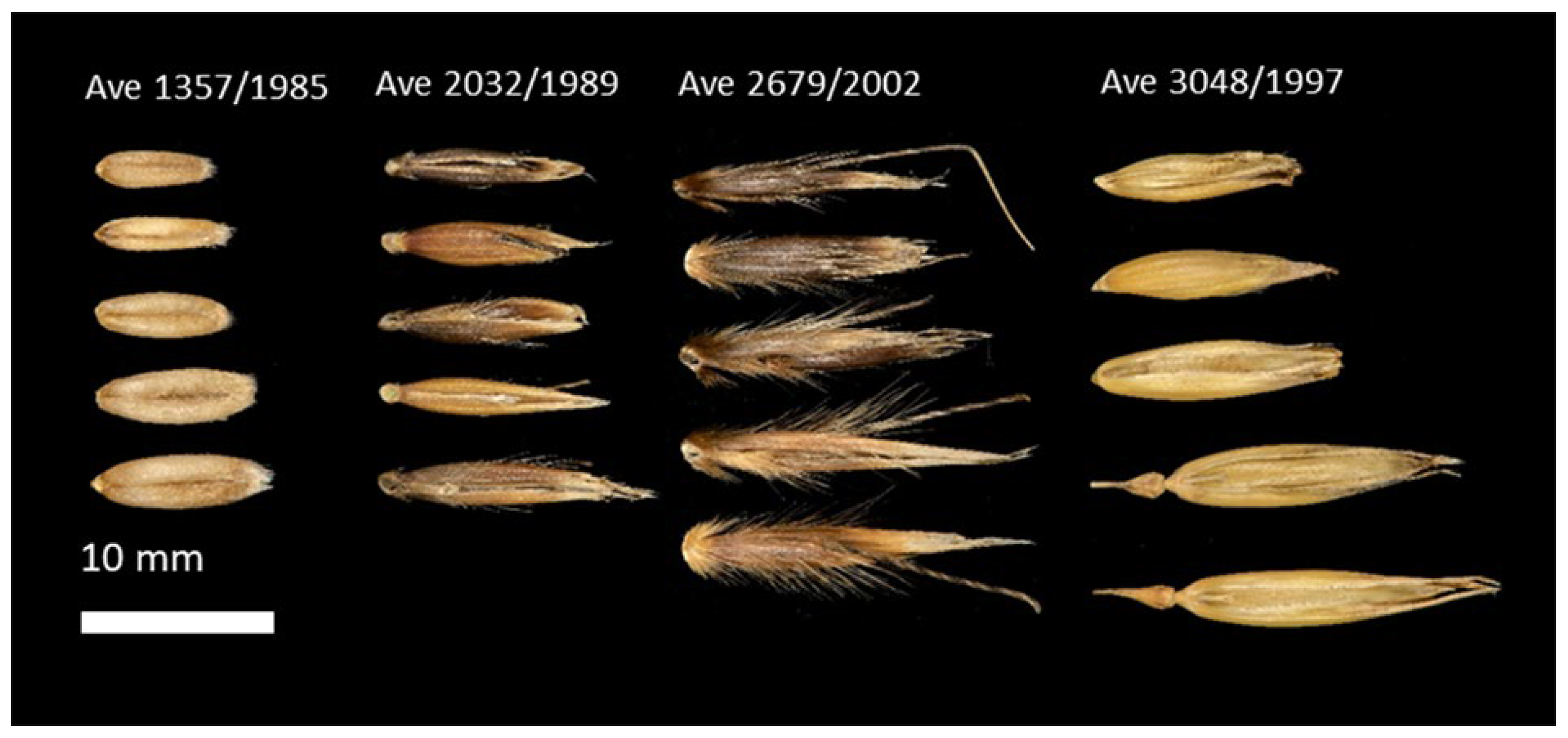 Agronomy 13 01393 g002 Agronomy 13 01393 g002