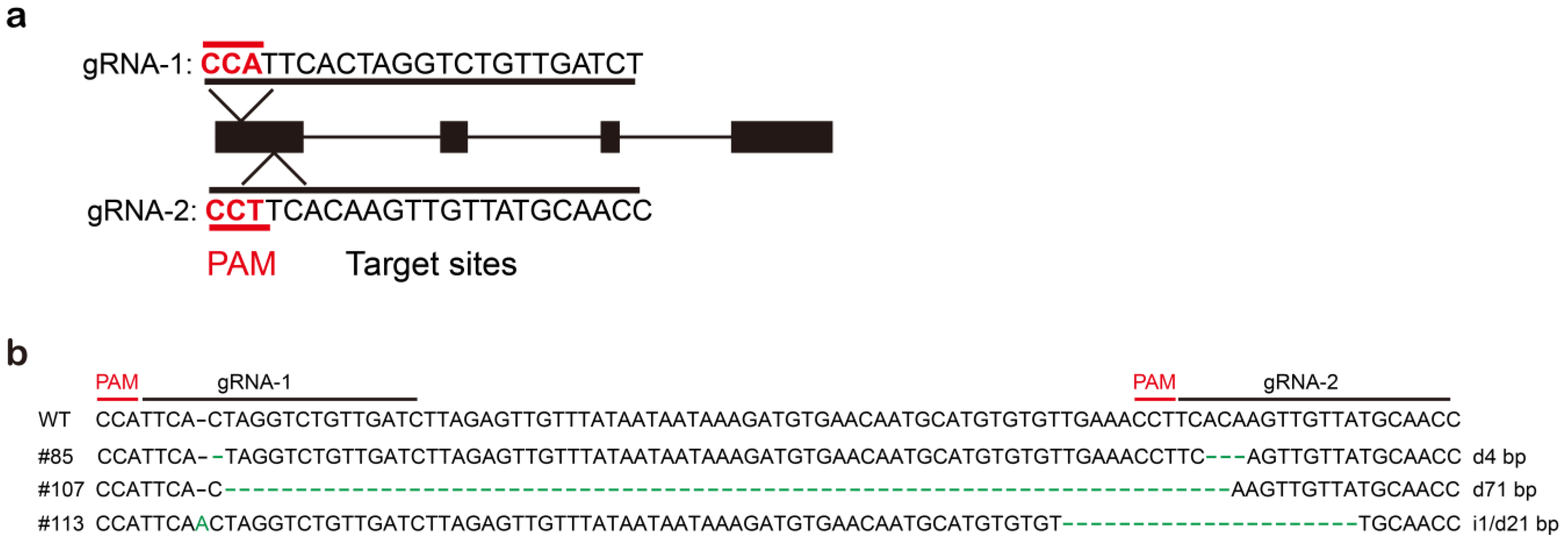 Agronomy 13 01398 g002 Agronomy 13 01398 g002