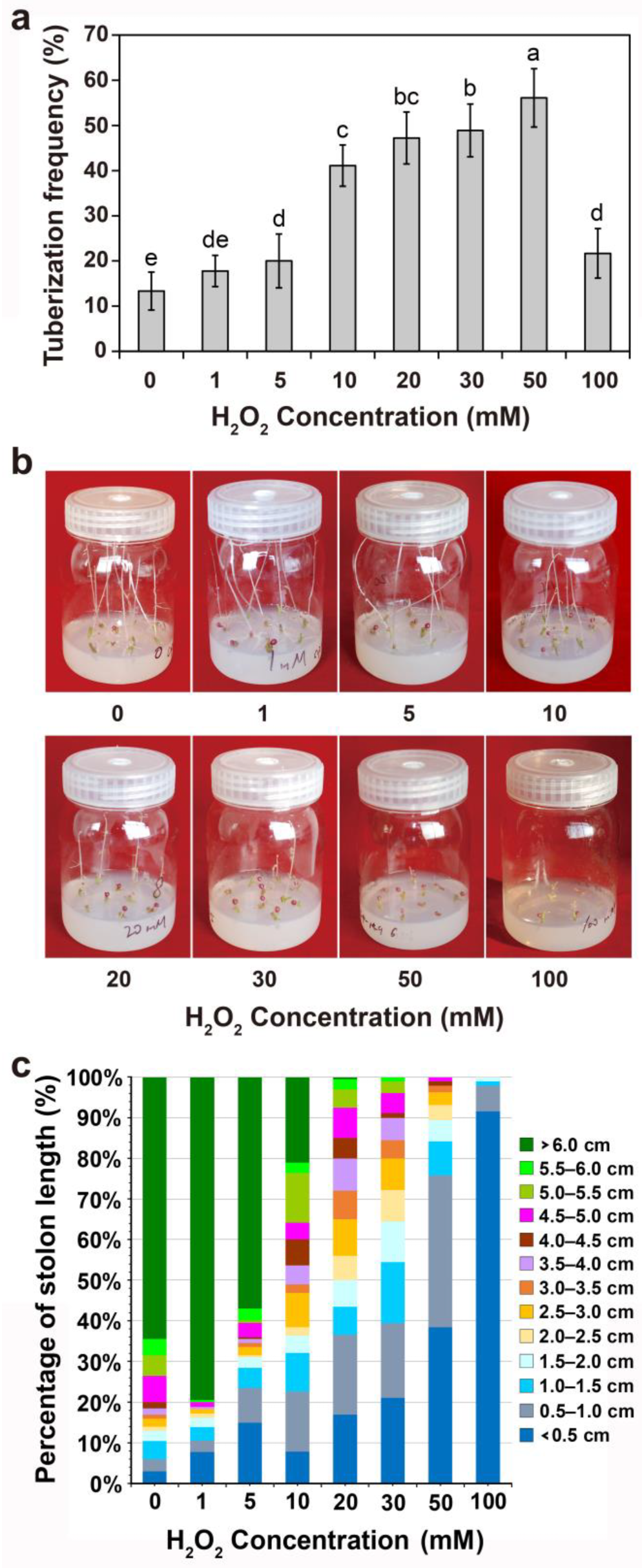 Agronomy 13 01398 g005 Agronomy 13 01398 g005