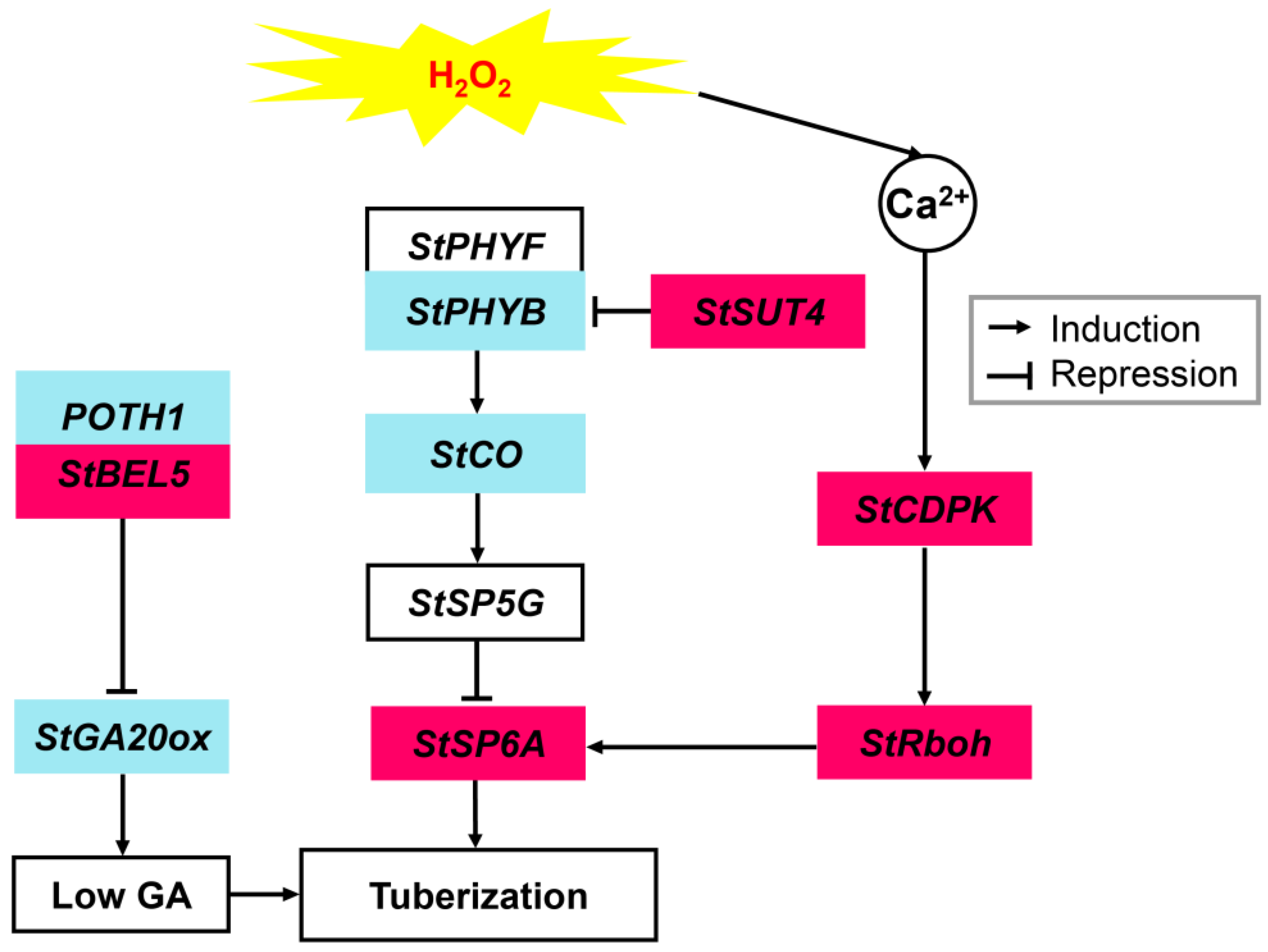 Agronomy 13 01398 g010 Agronomy 13 01398 g010