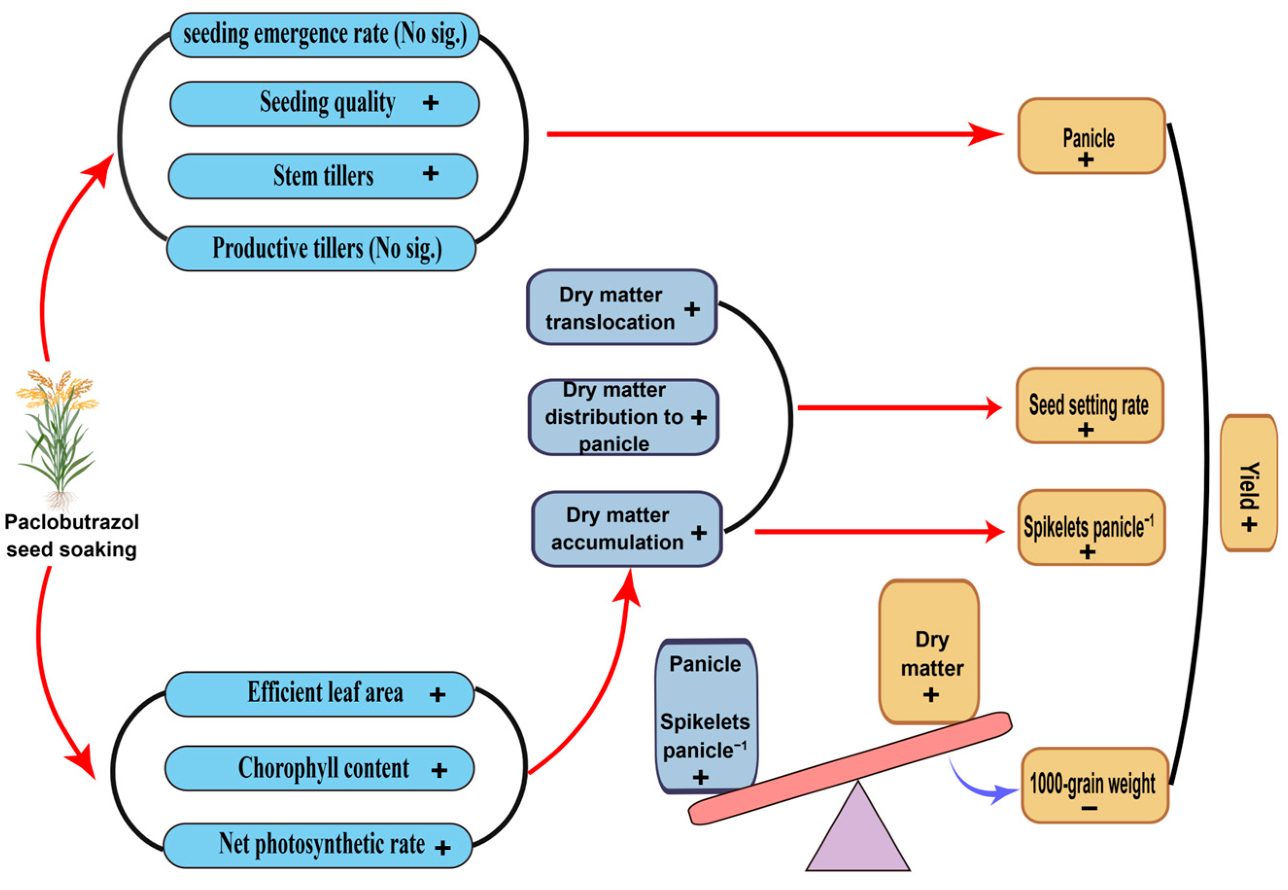 Agronomy 13 01402 g013 Agronomy 13 01402 g013