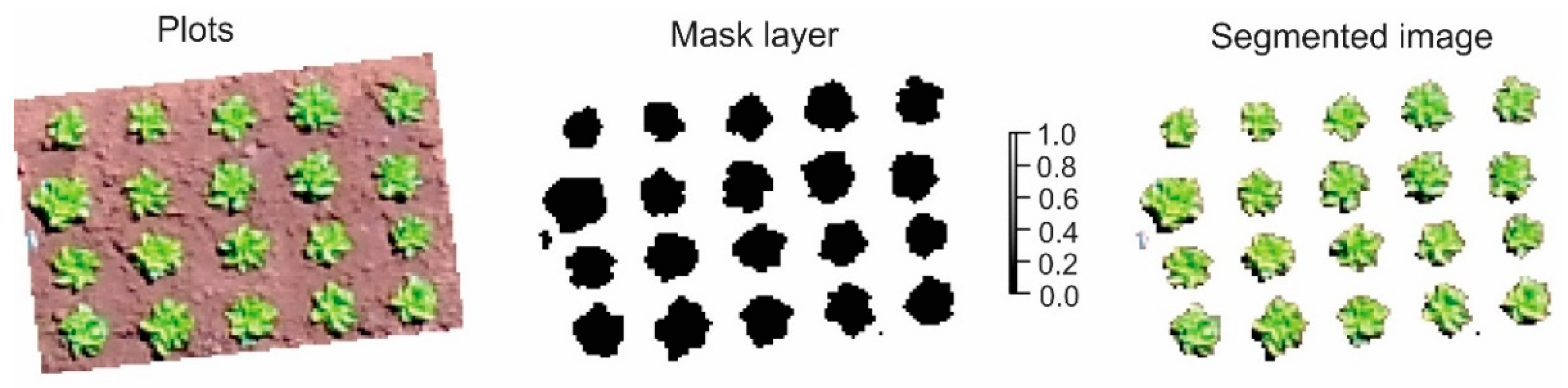 Agronomy 13 01403 g003 Agronomy 13 01403 g003