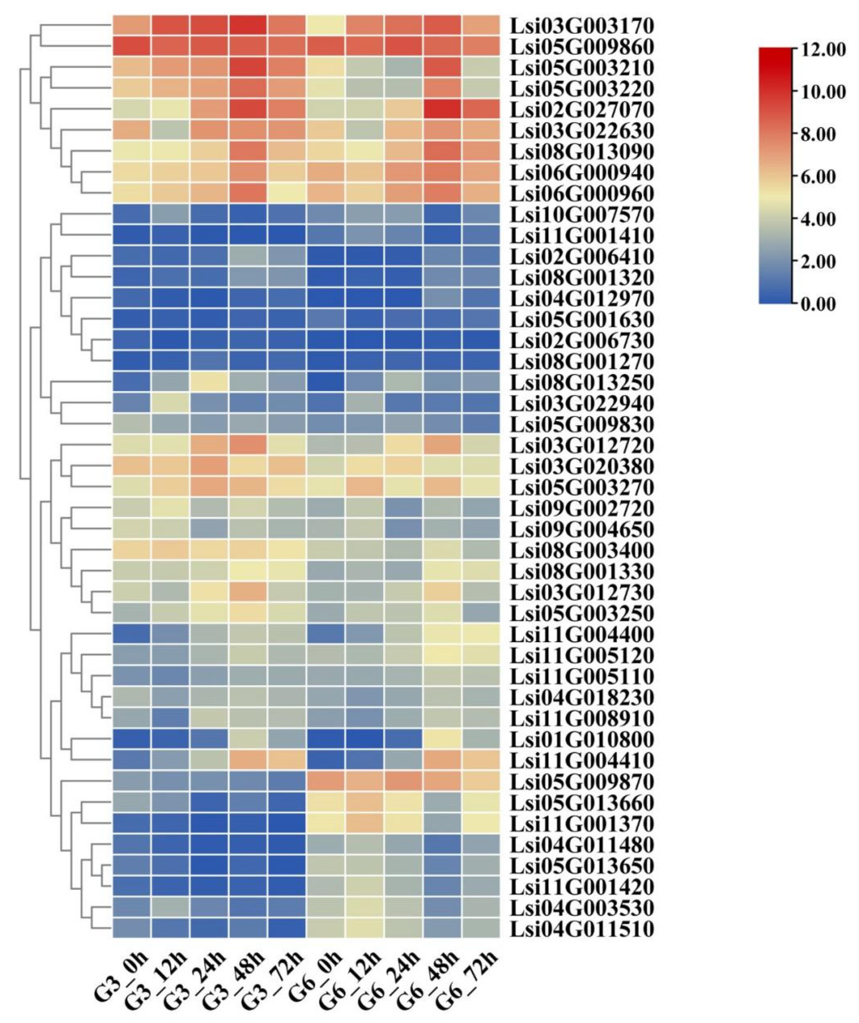 Agronomy 13 01406 g003 Agronomy 13 01406 g003