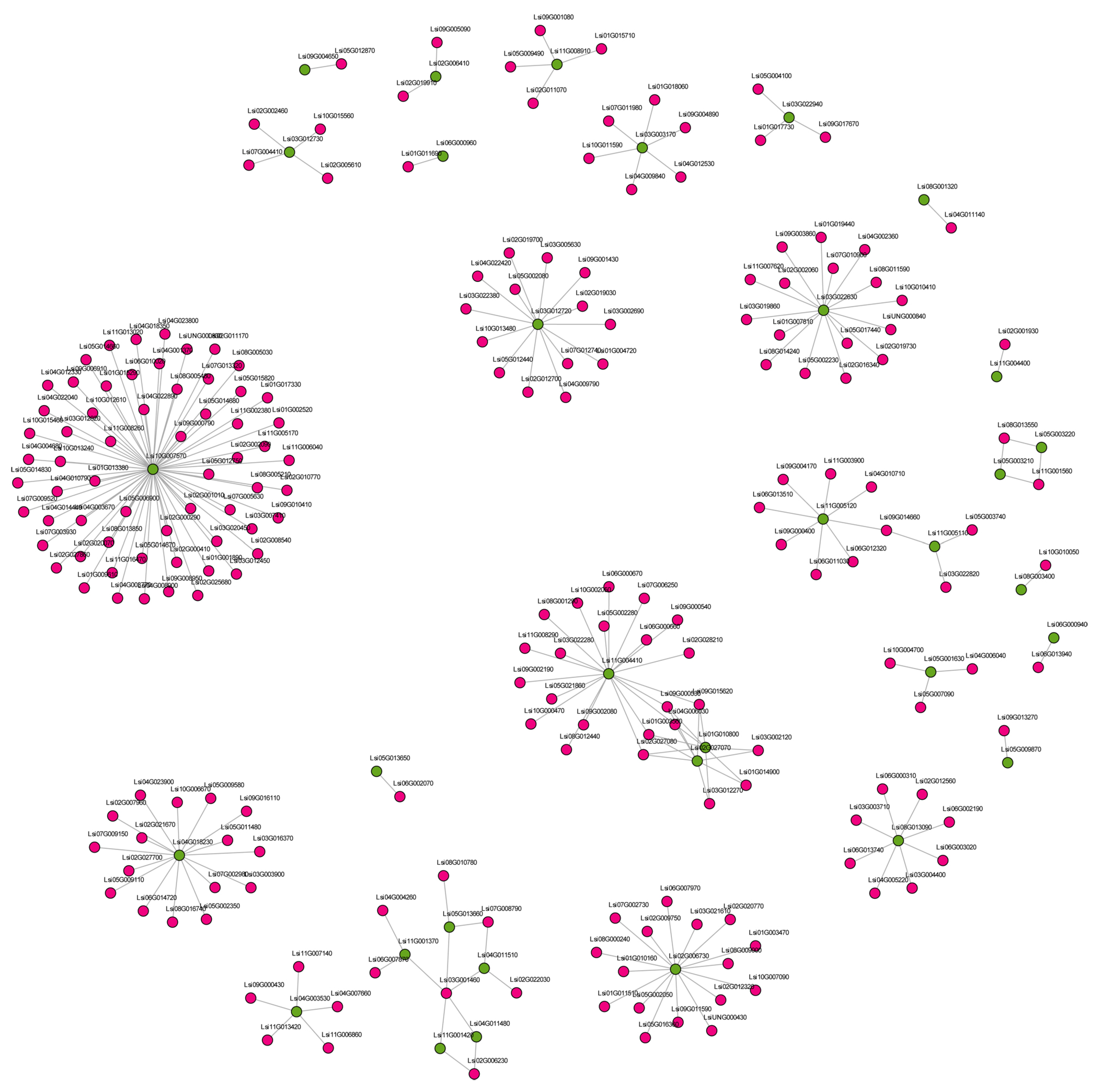 Agronomy 13 01406 g006 Agronomy 13 01406 g006
