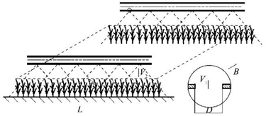 Agronomy 13 01407 i004