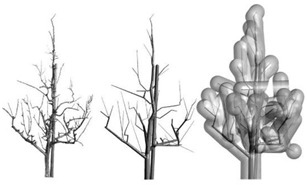 Agronomy 13 01407 i005