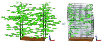 Agronomy 13 01407 i007