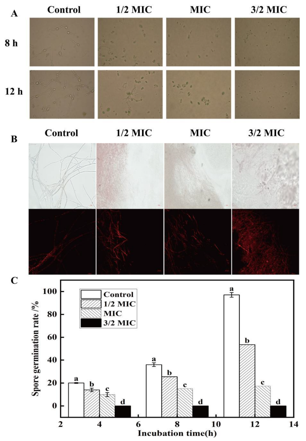 Agronomy 13 01408 g004 Agronomy 13 01408 g004
