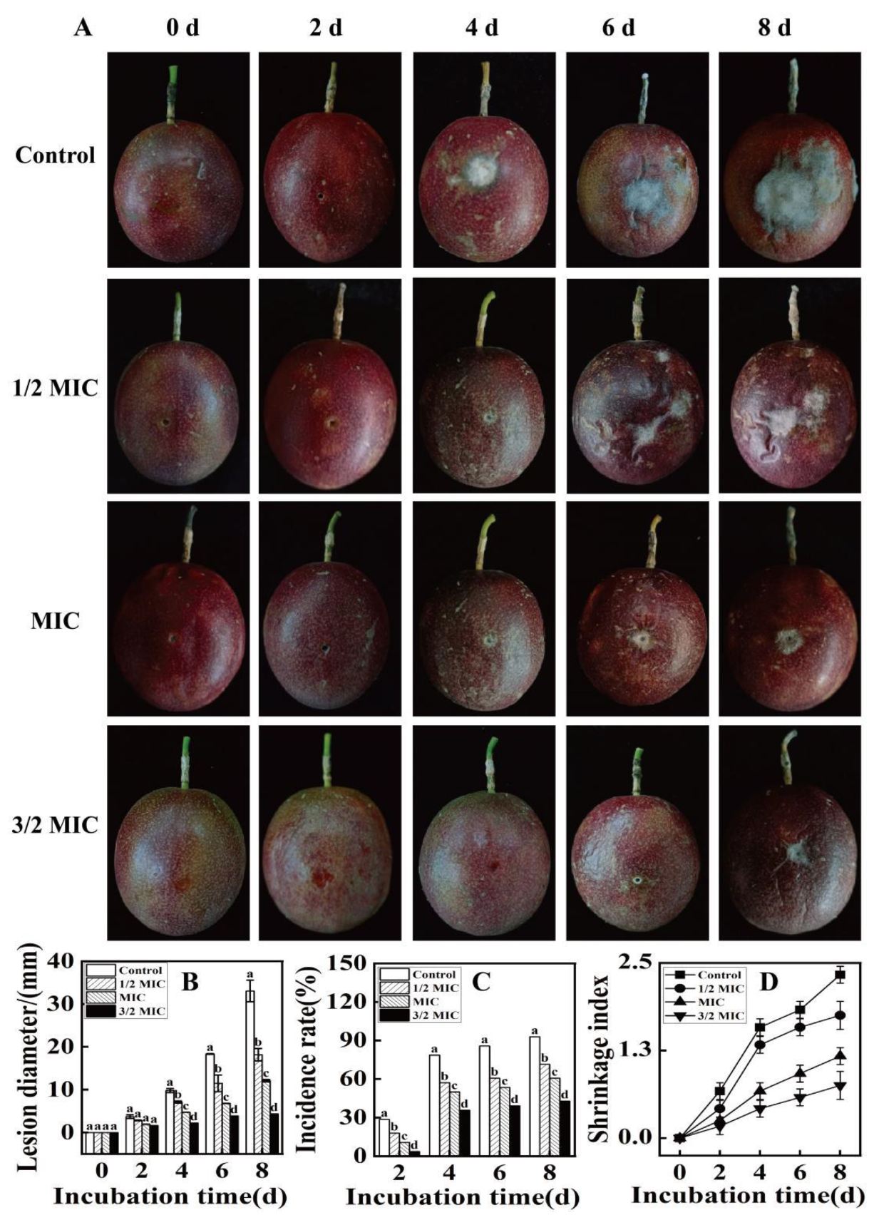 Agronomy 13 01408 g006 Agronomy 13 01408 g006