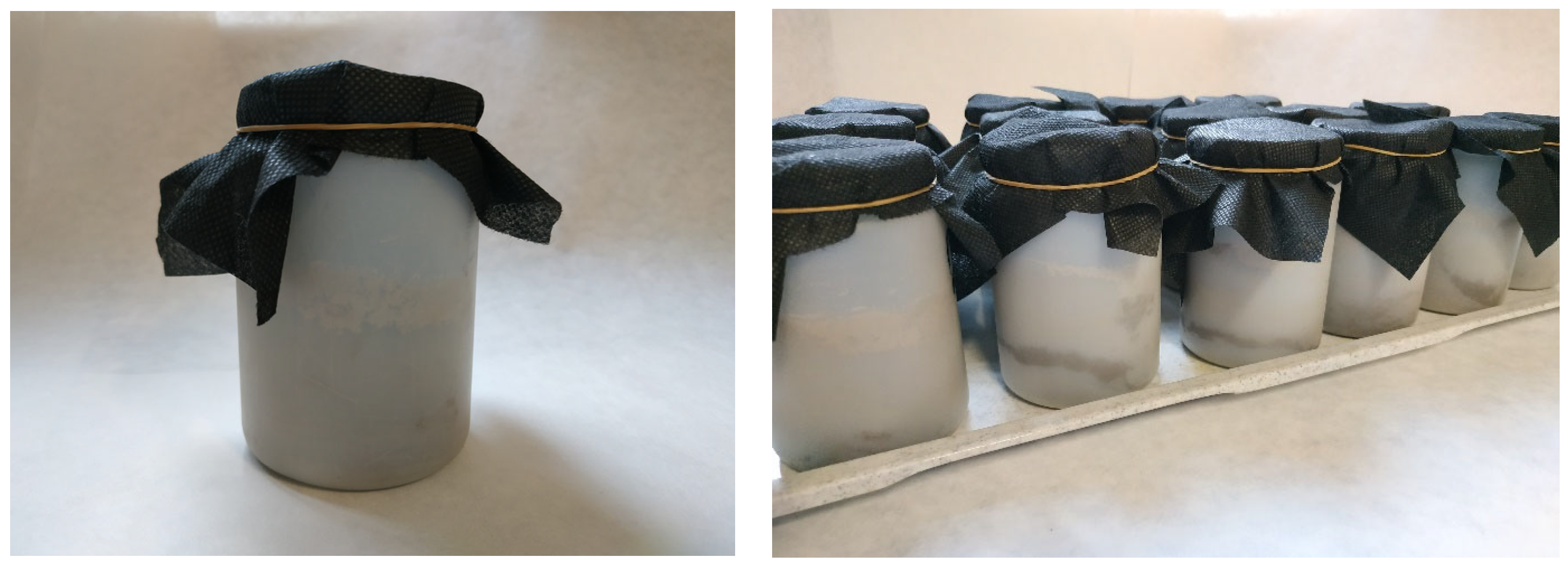 Agronomy 13 01410 g002