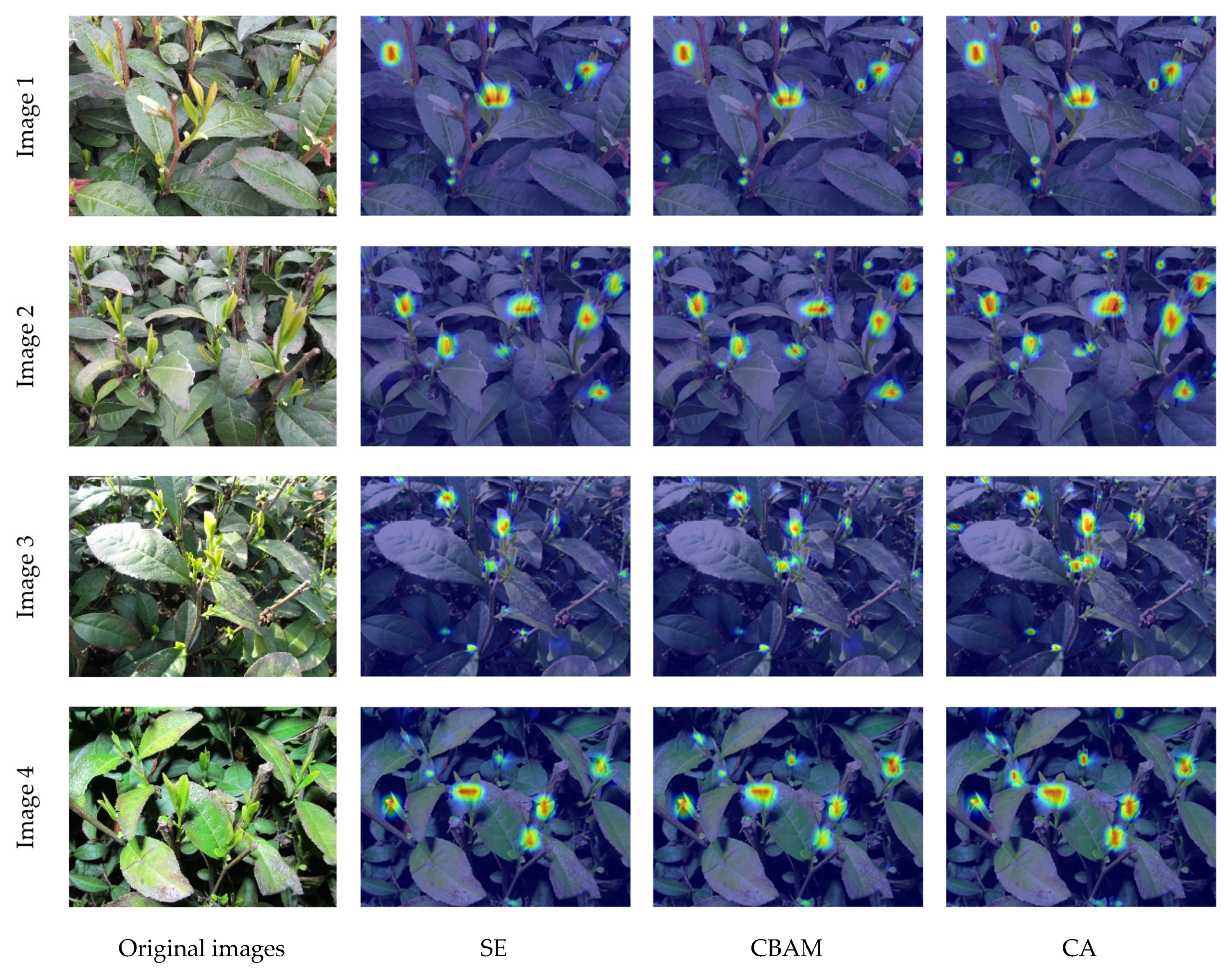 Agronomy 13 01411 g012