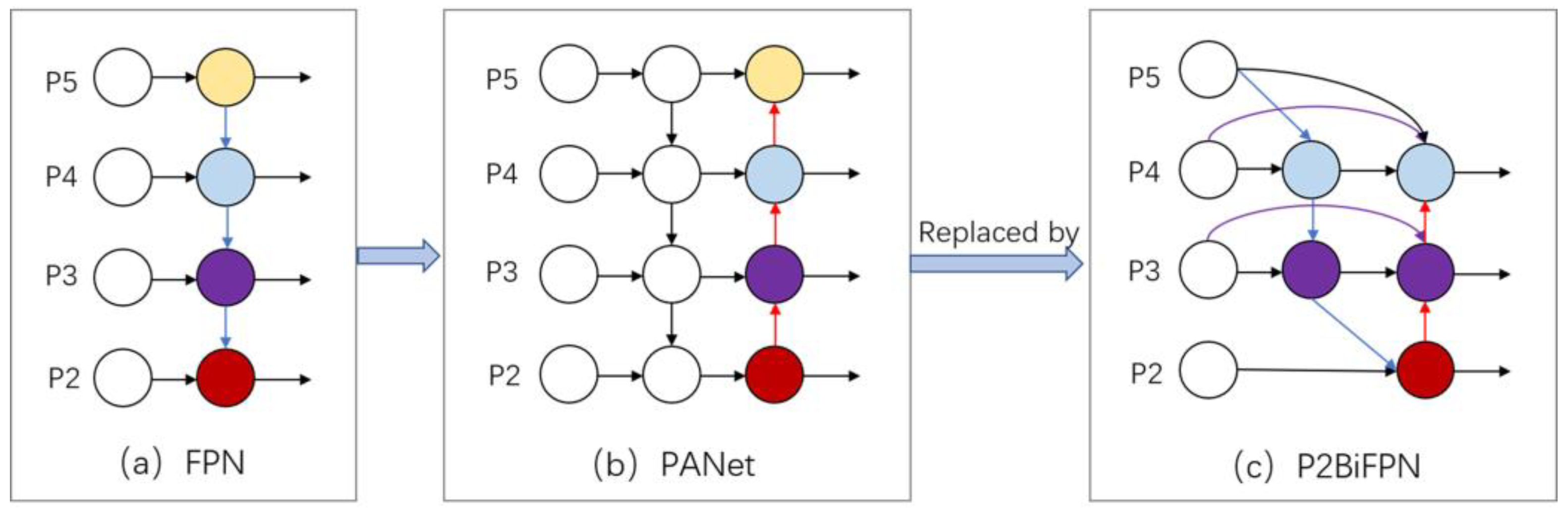 Agronomy 13 01419 g005