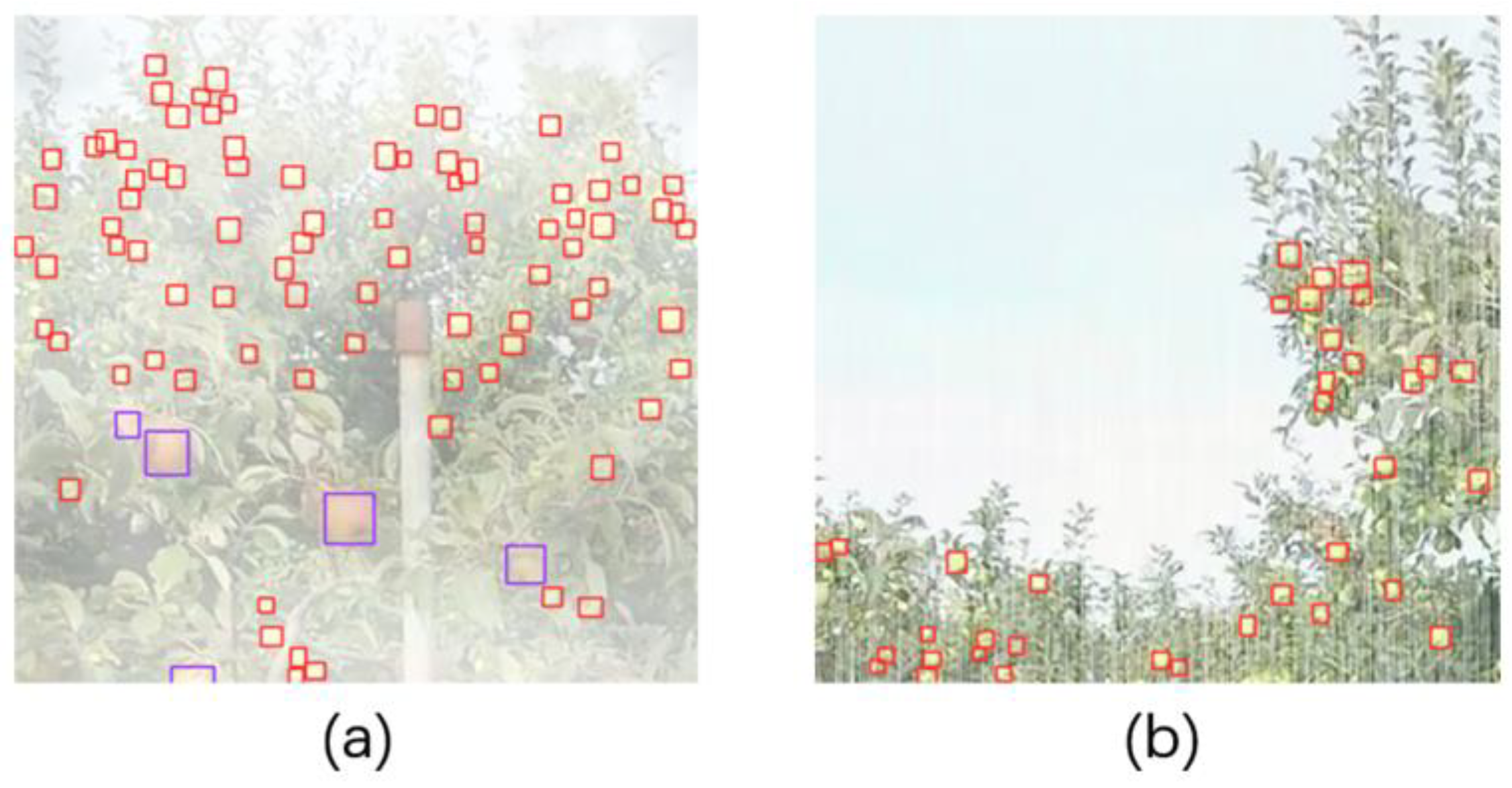 Agronomy 13 01419 g013