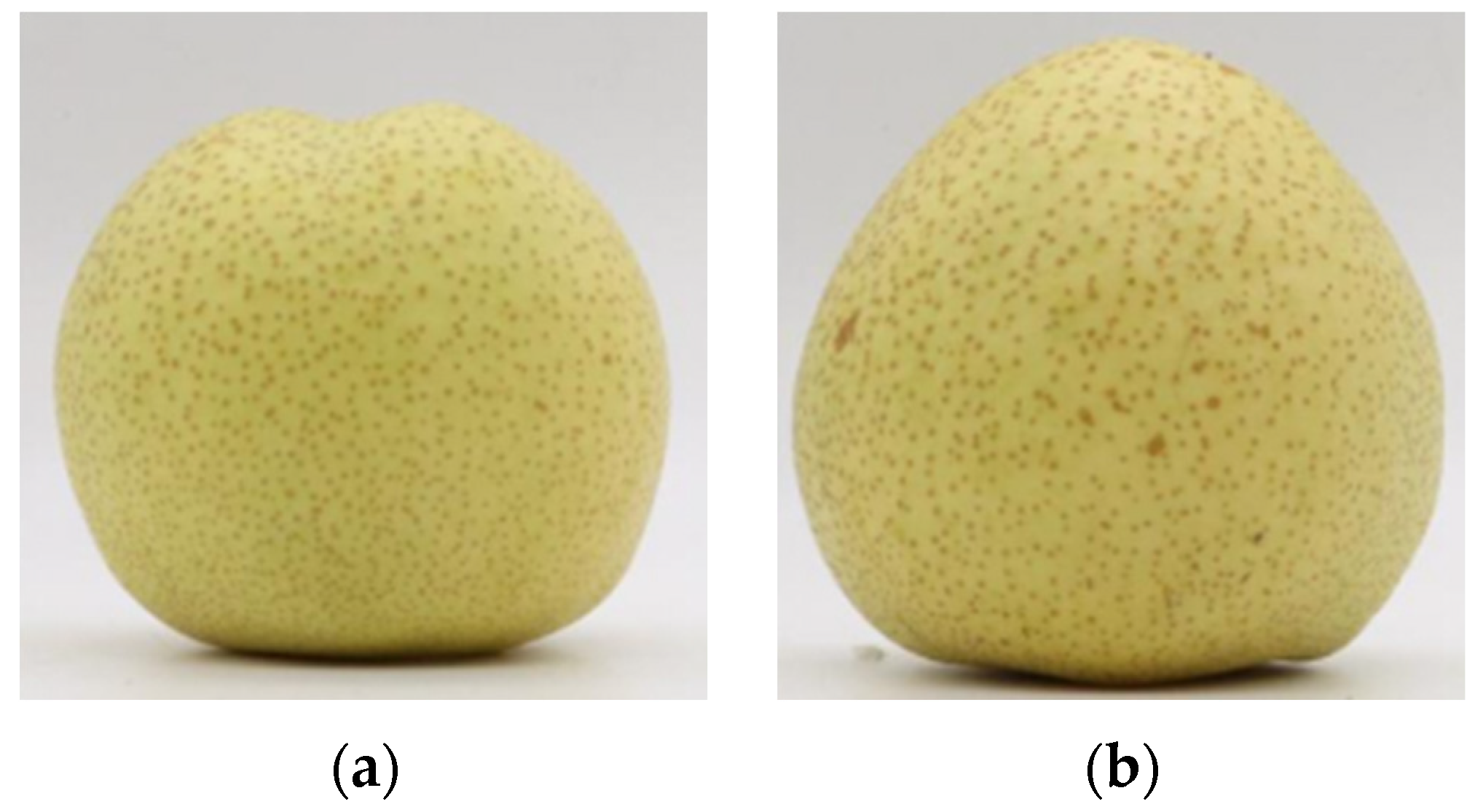 Agronomy 13 01420 g001a Agronomy 13 01420 g001a