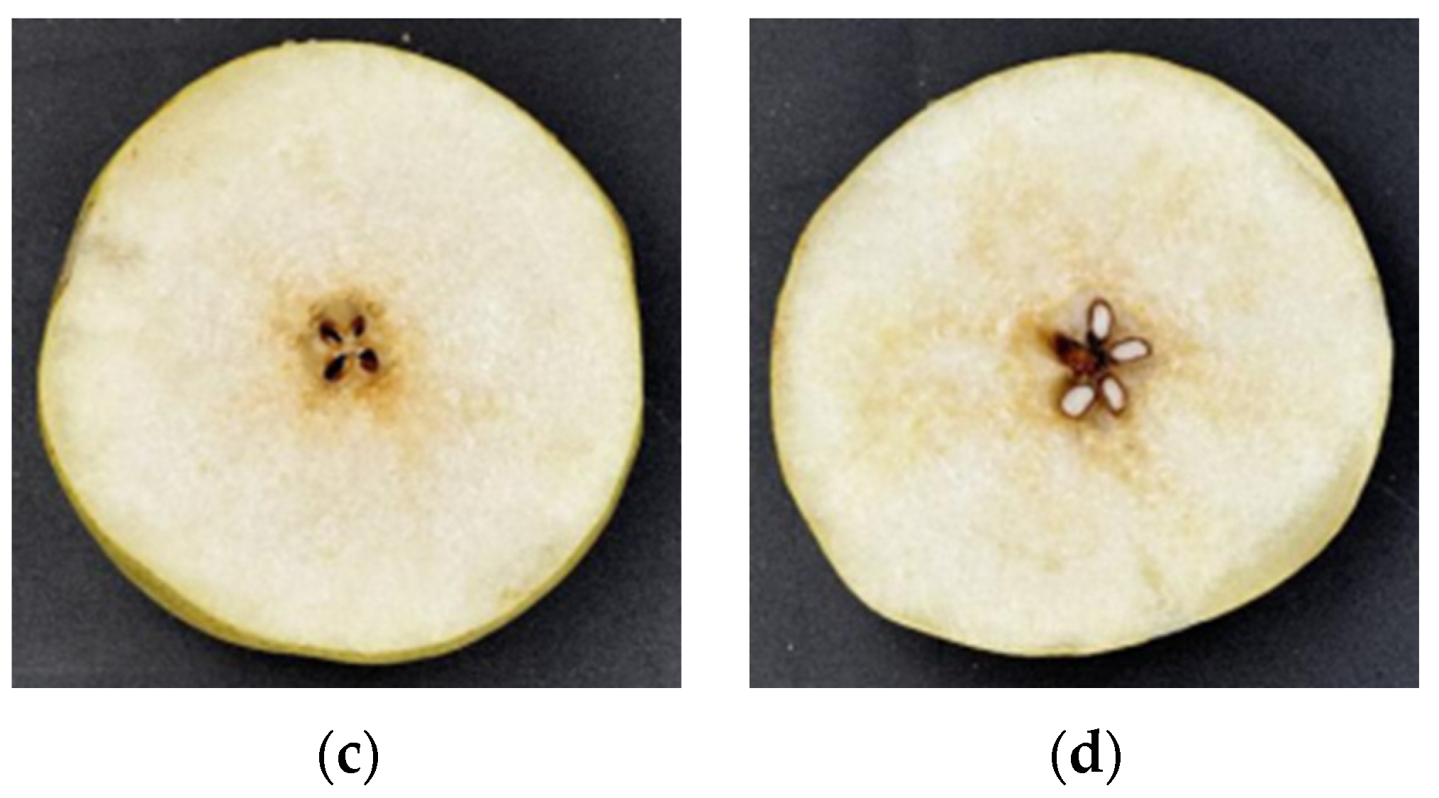 Agronomy 13 01420 g001b Agronomy 13 01420 g001b