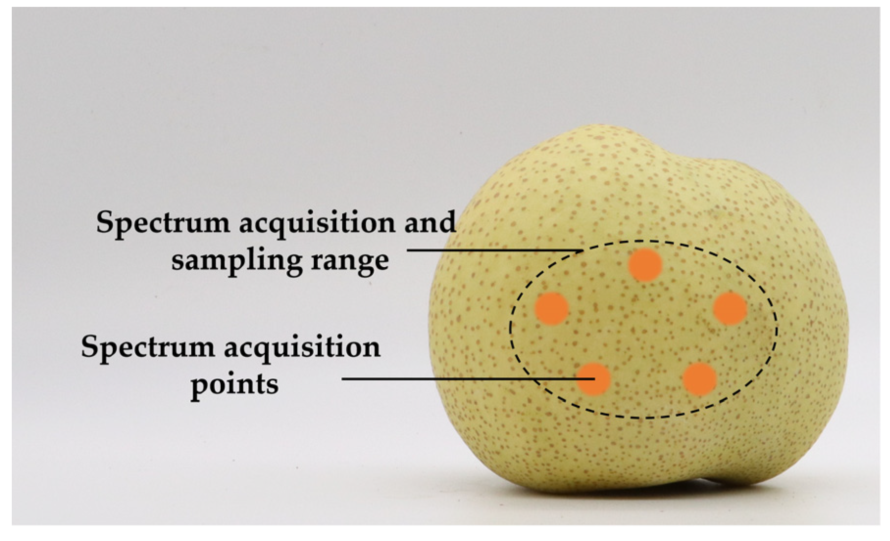 Agronomy 13 01420 g003 Agronomy 13 01420 g003