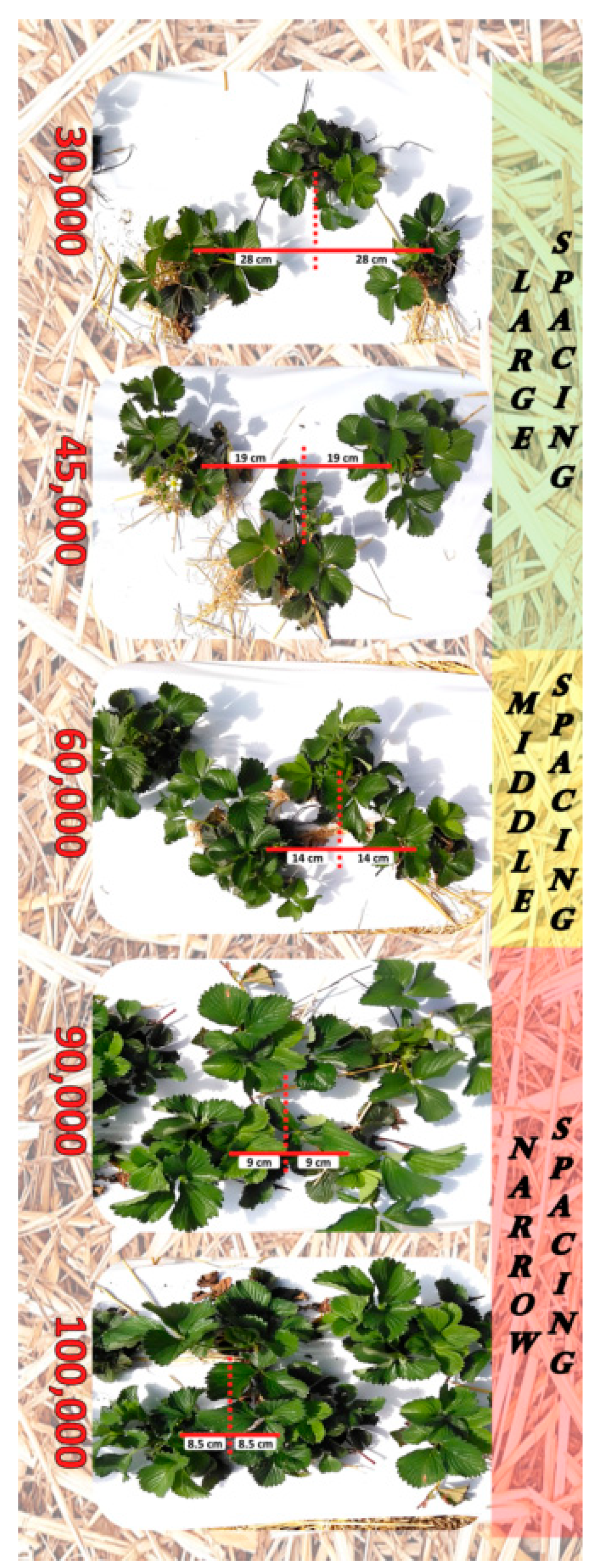 Agronomy 13 01422 g001