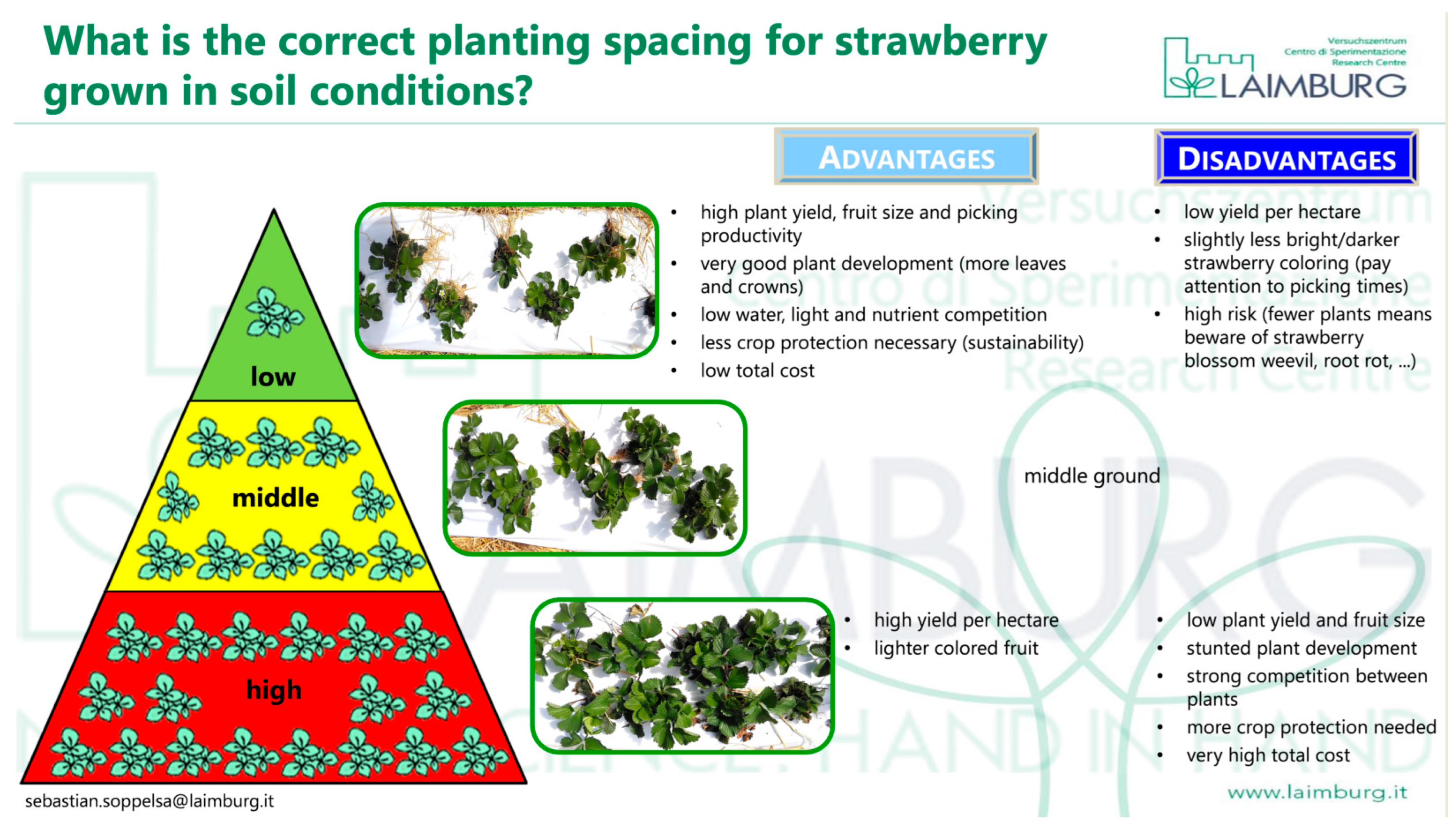 Agronomy 13 01422 g011