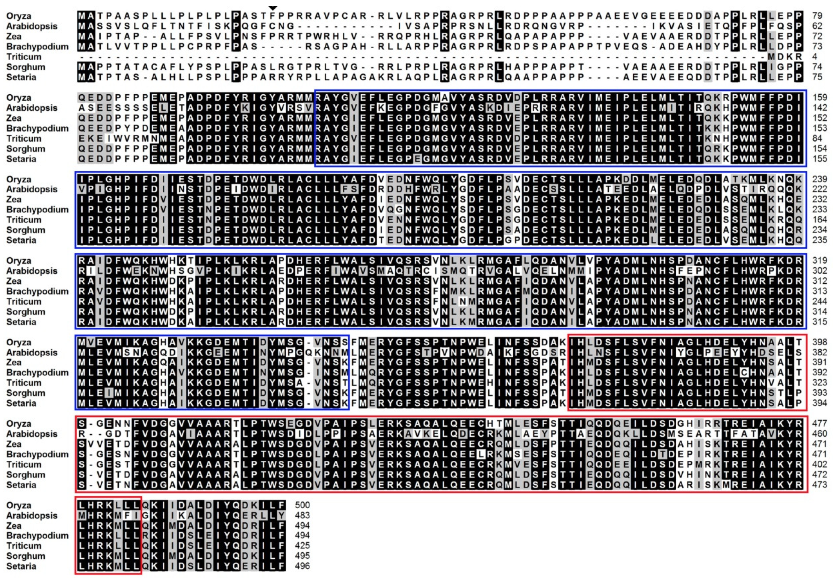 Agronomy 13 01424 g0a1 Agronomy 13 01424 g0a1
