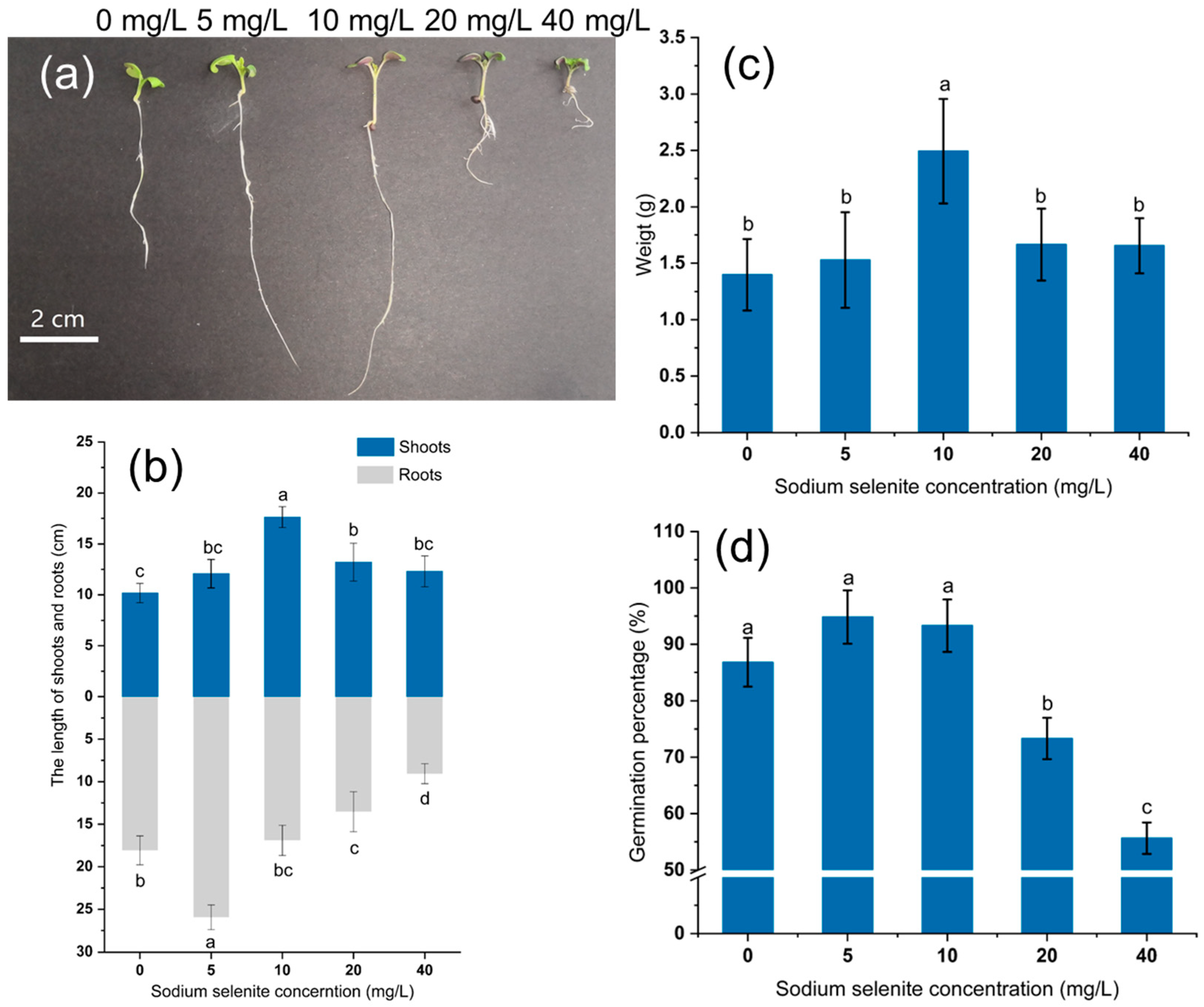 Agronomy 13 01425 g001 Agronomy 13 01425 g001