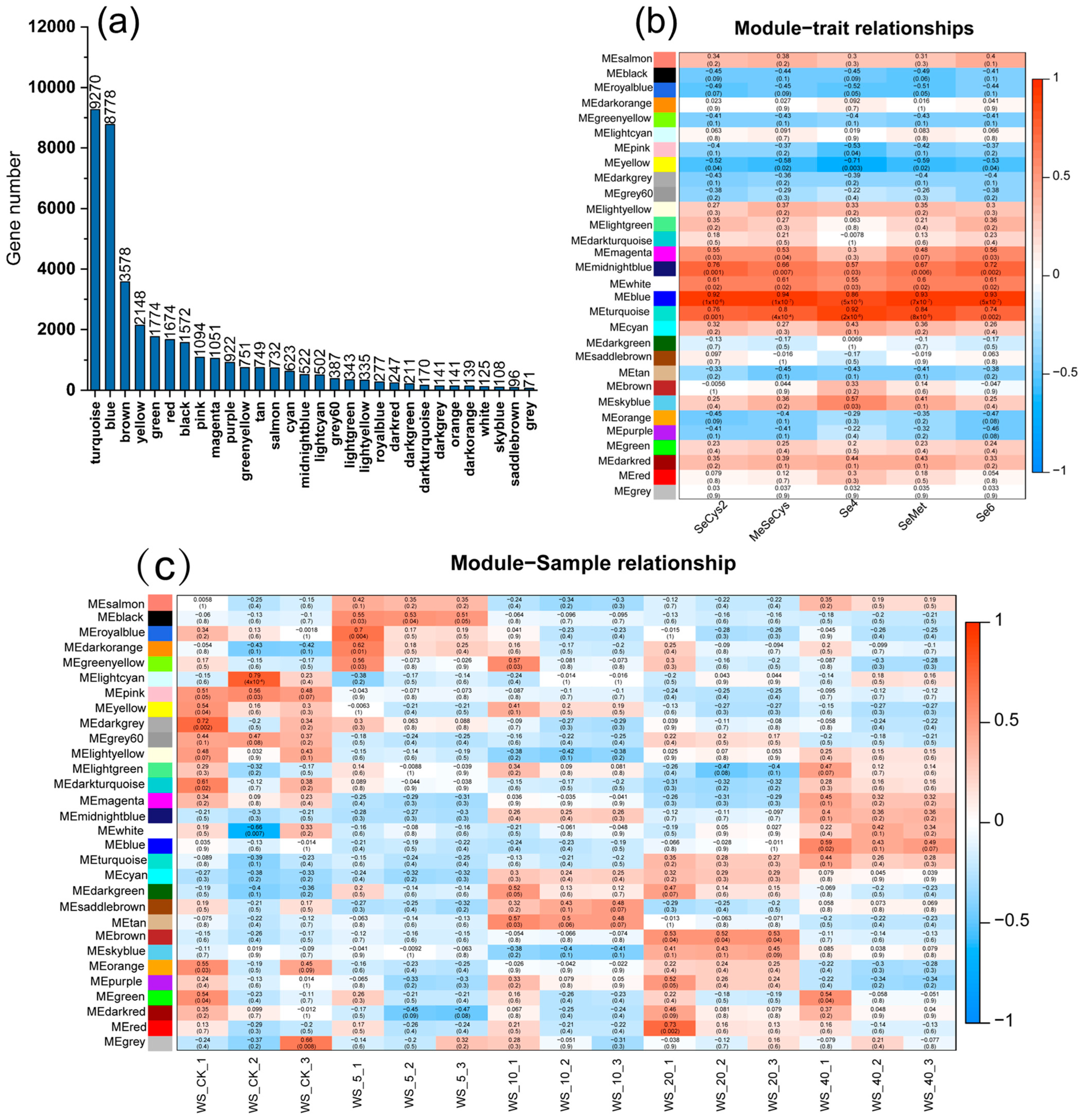 Agronomy 13 01425 g008 Agronomy 13 01425 g008
