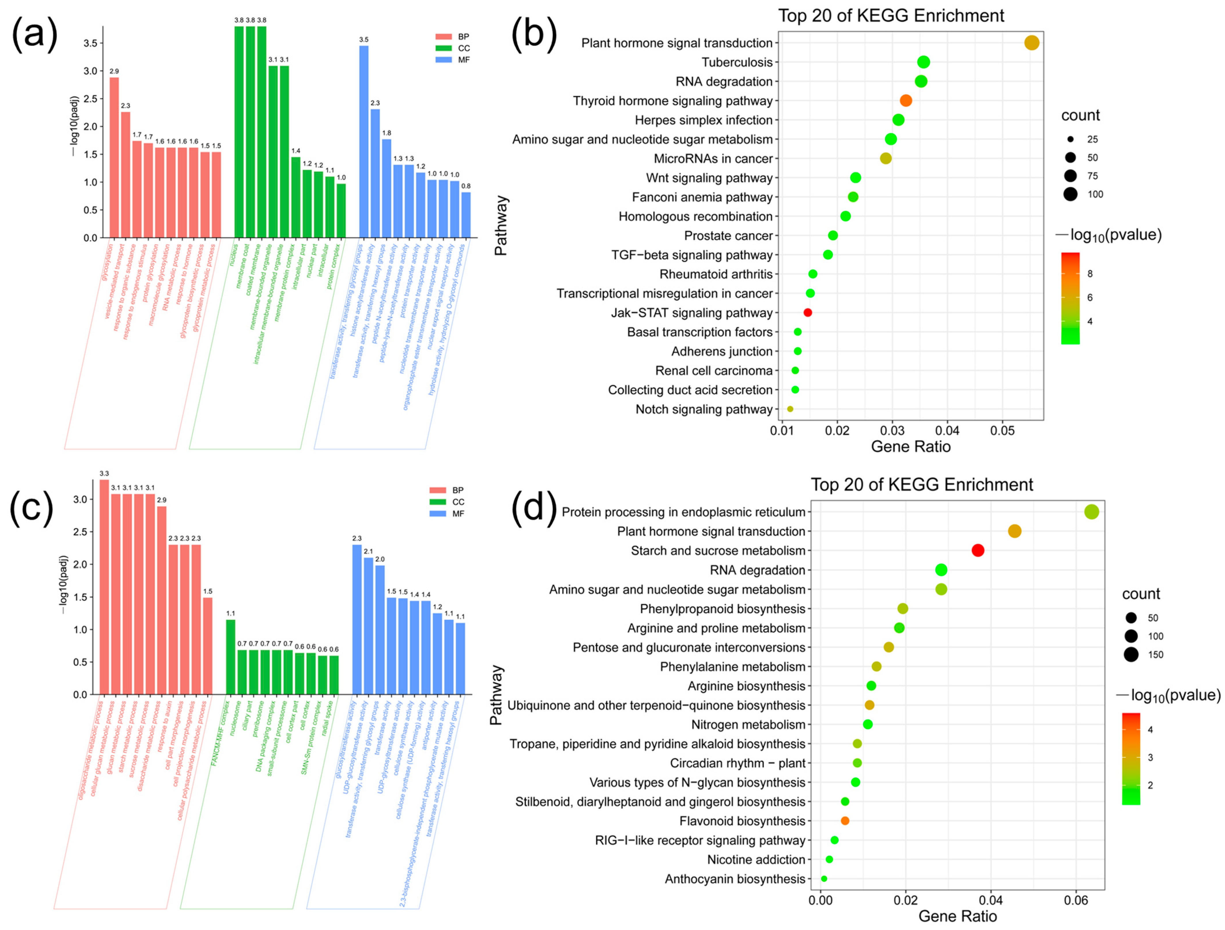 Agronomy 13 01425 g009 Agronomy 13 01425 g009