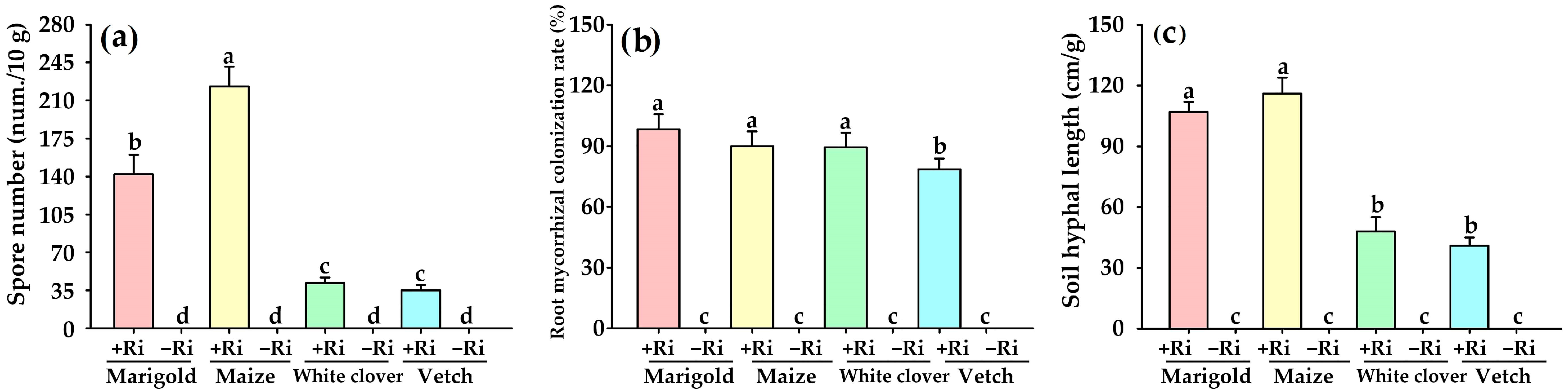 Agronomy 13 01427 g002 Agronomy 13 01427 g002