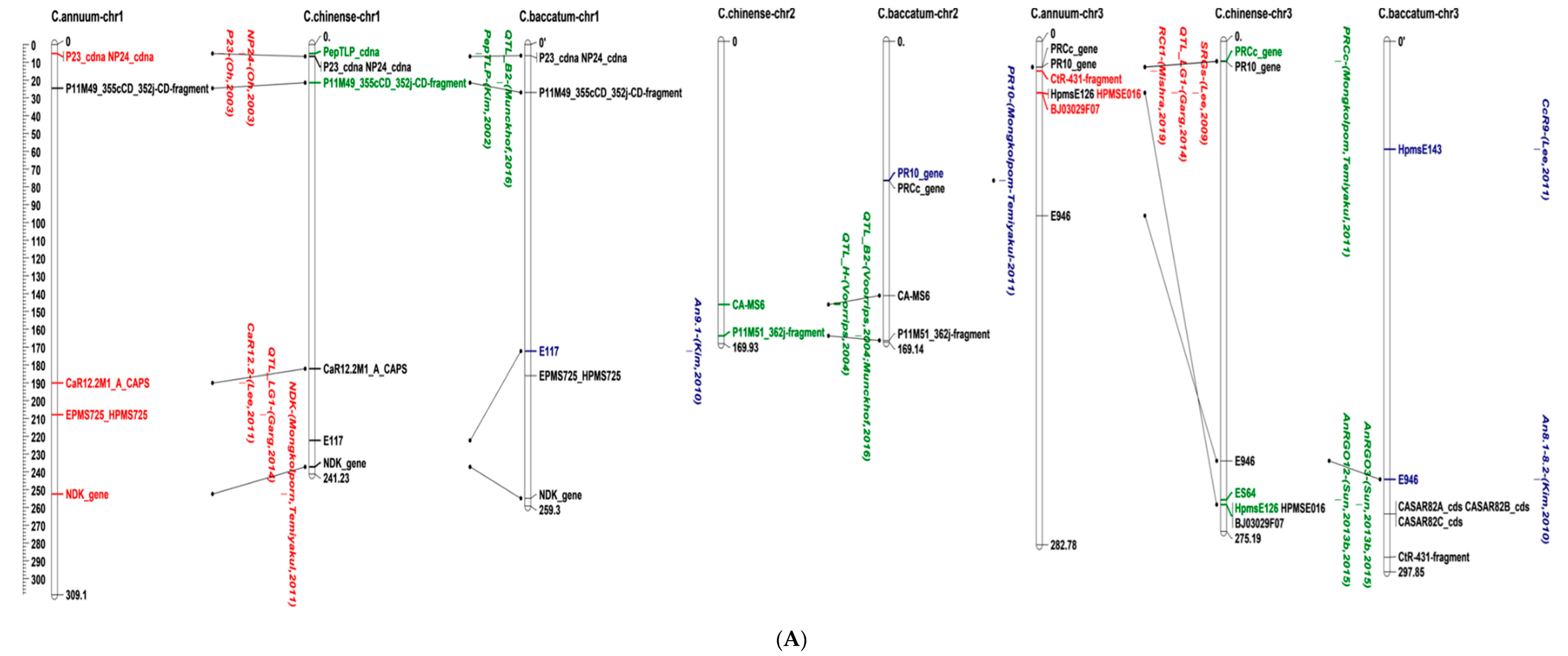 Agronomy 13 01434 g002a Agronomy 13 01434 g002a