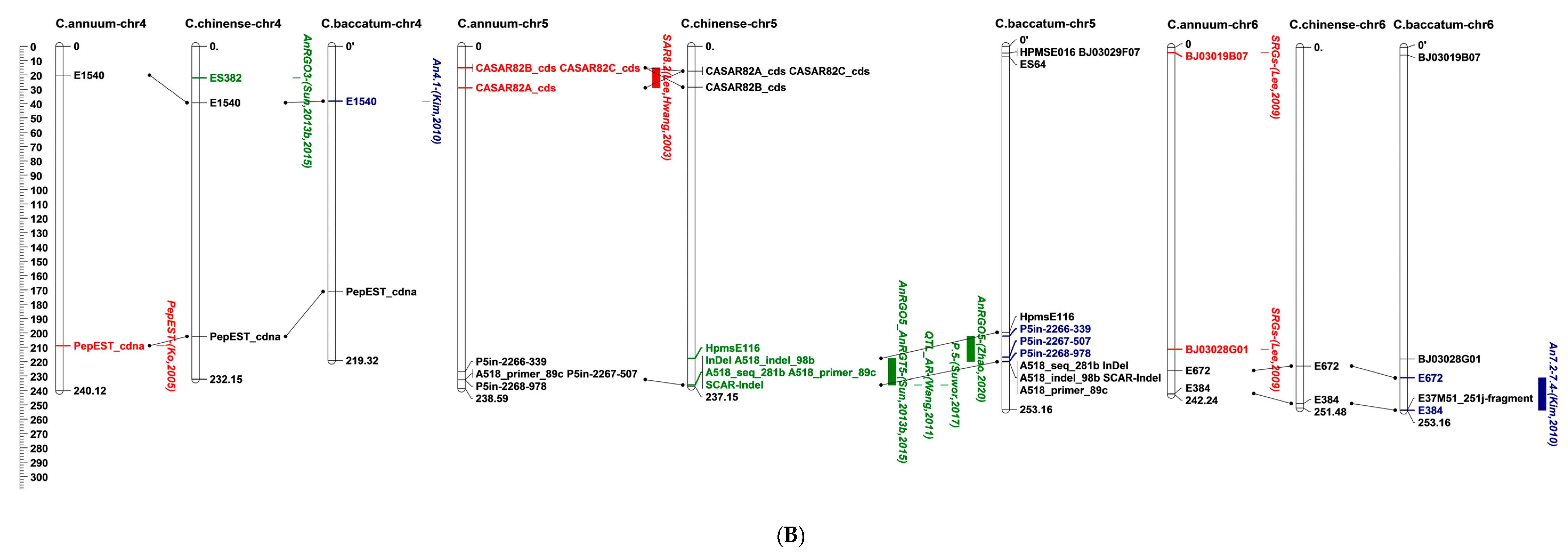 Agronomy 13 01434 g002b Agronomy 13 01434 g002b