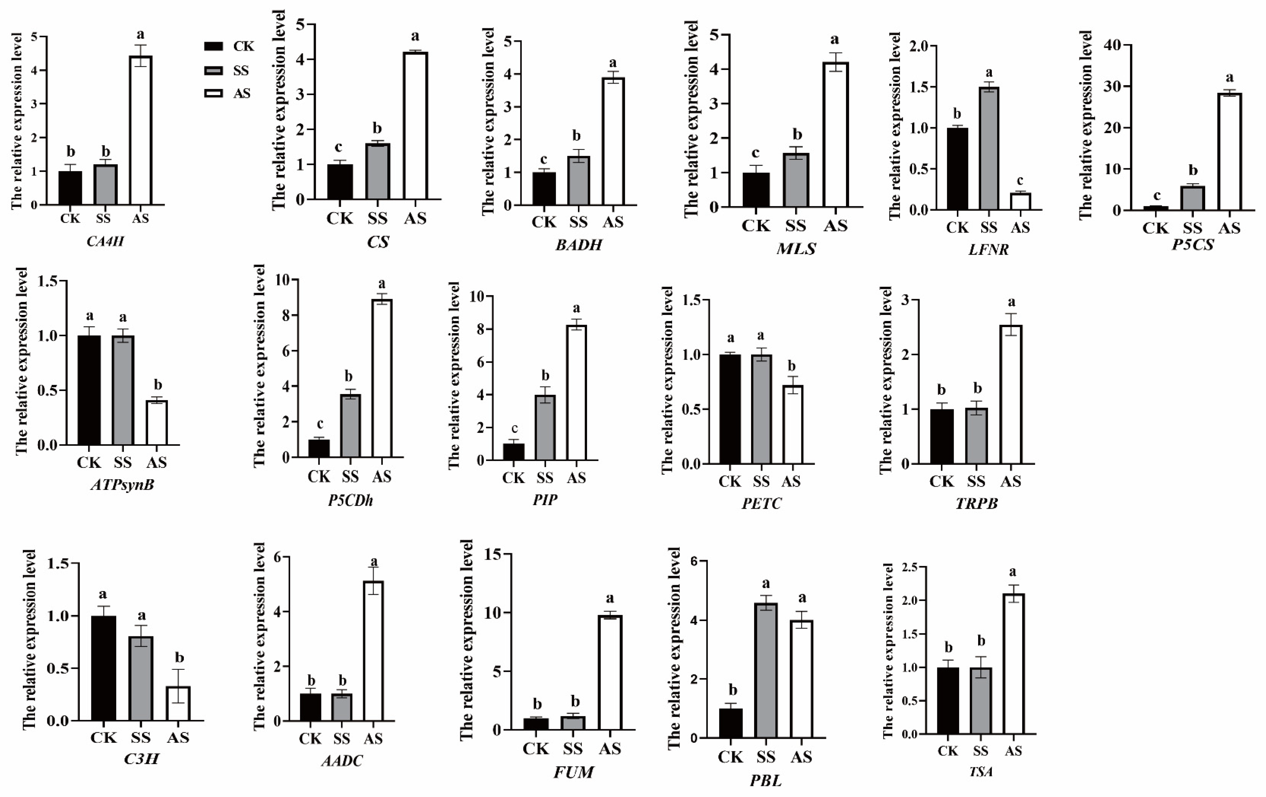 Agronomy 13 01441 g006 Agronomy 13 01441 g006